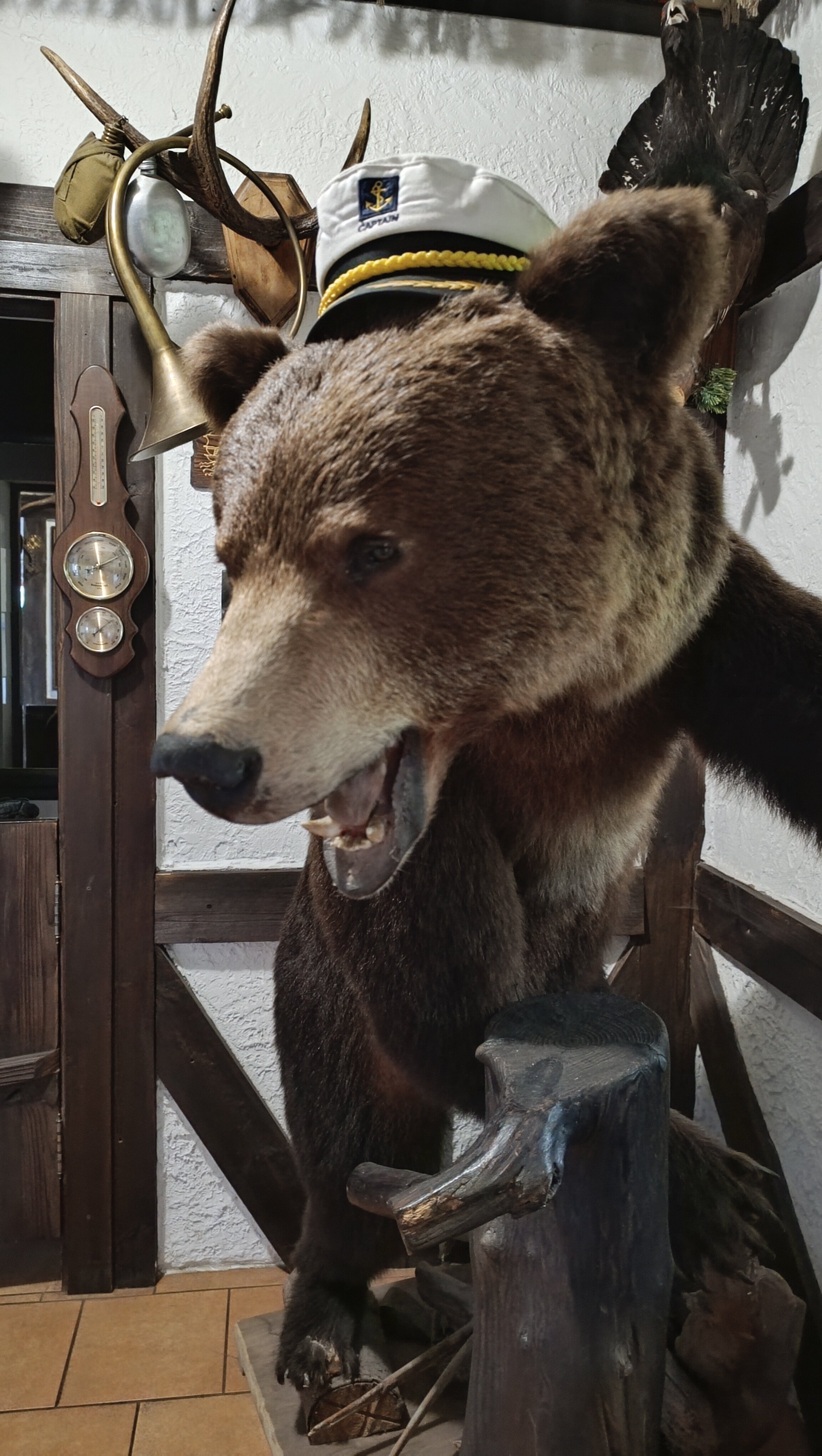 Фото Александровский Причал