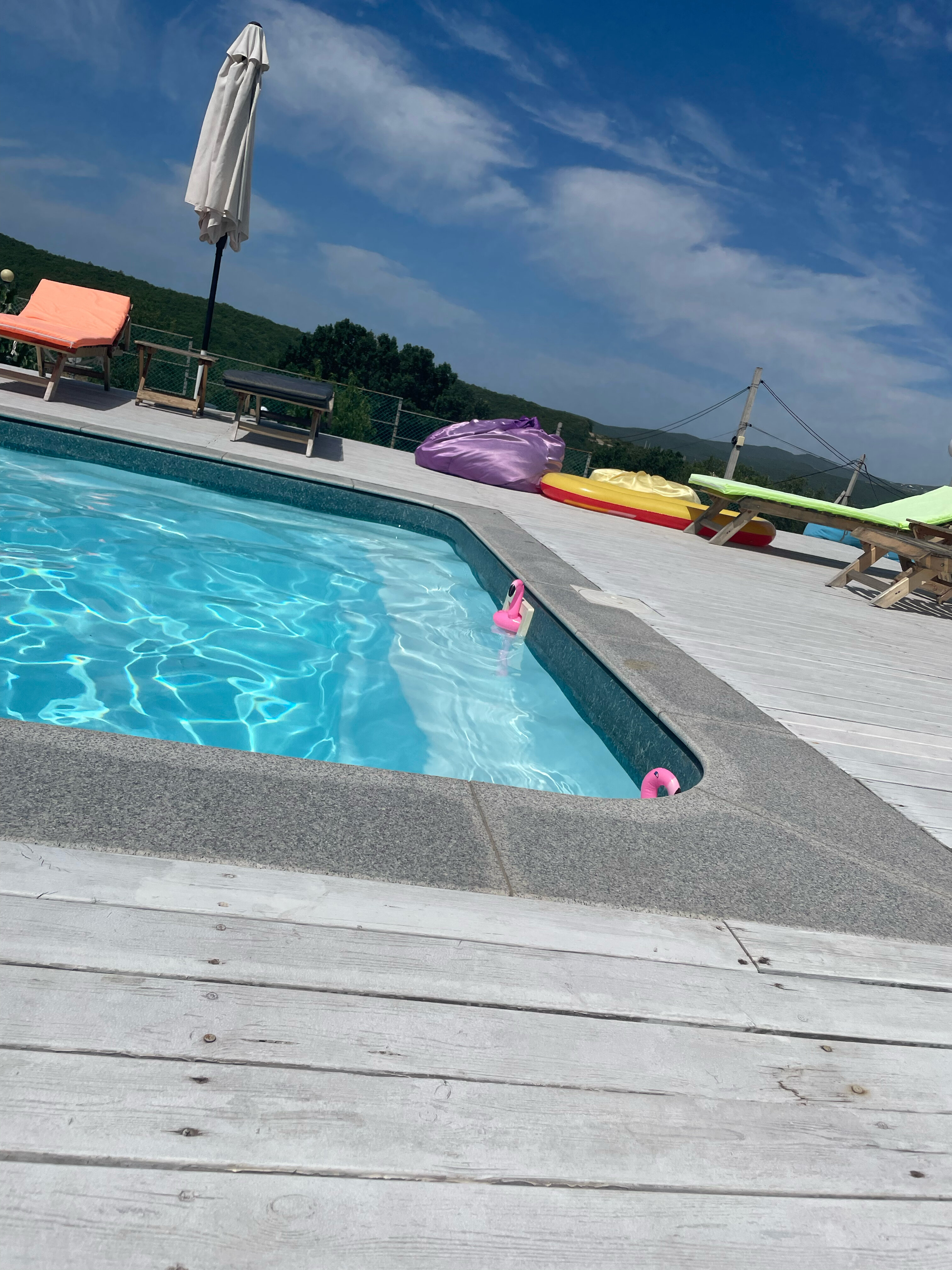 Фото Александрия Garden