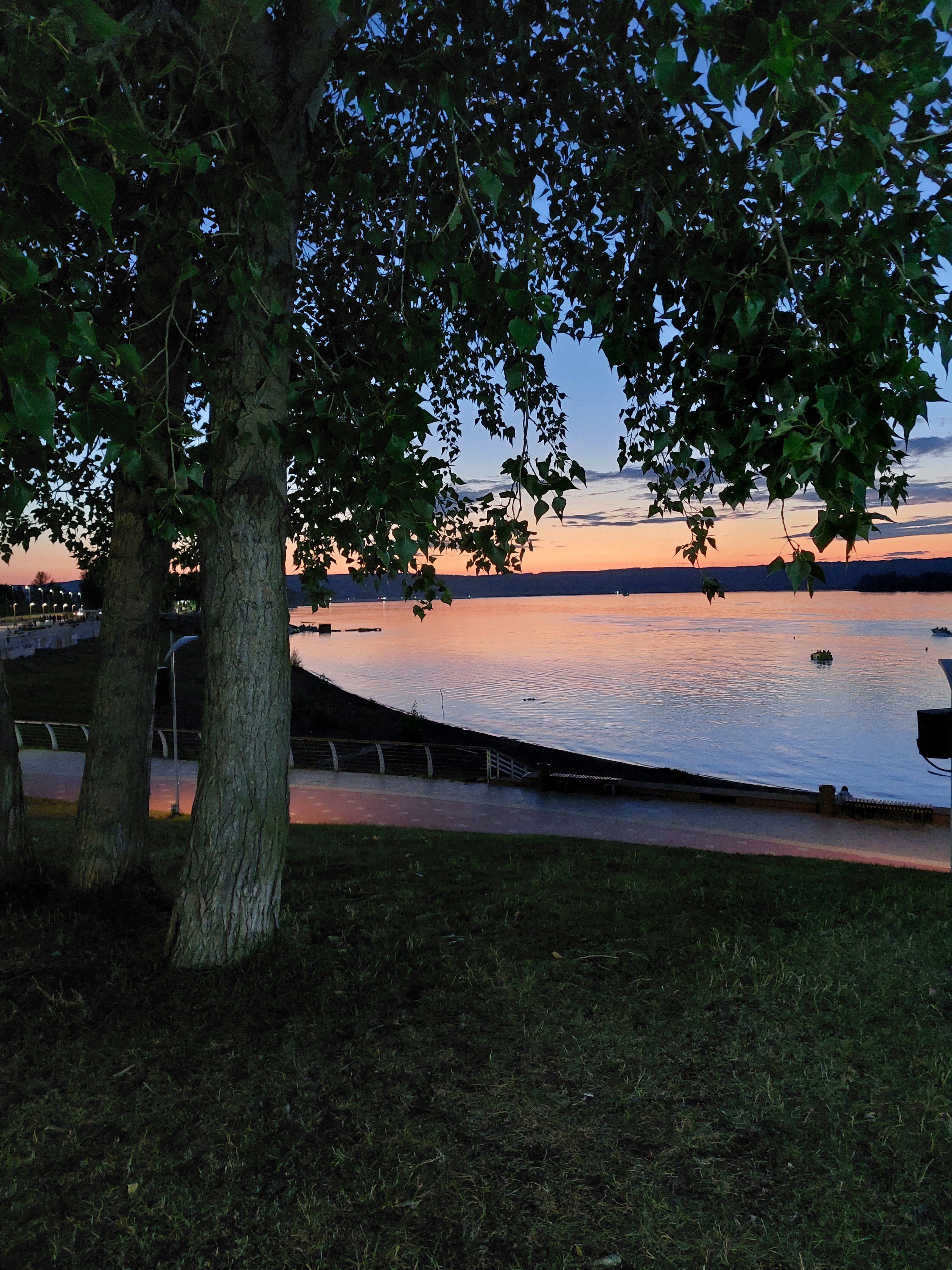 Фото Шифалы