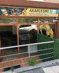 Mert Coal (İstanbul, Sarıyer, Sarıyer Merkez Mah., Meserburnu Cad.), compañía de carbón