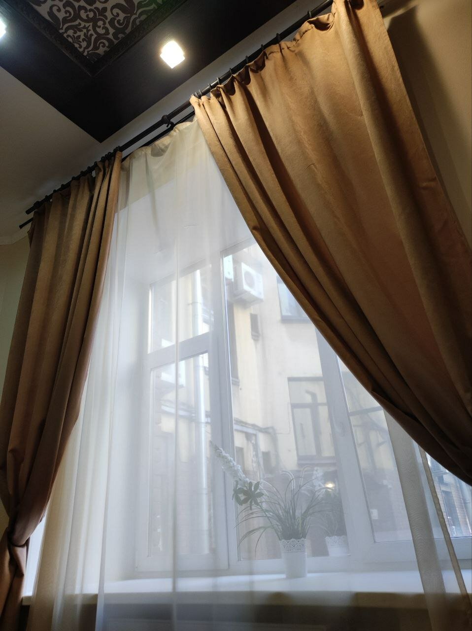 Фото Граф Толстой