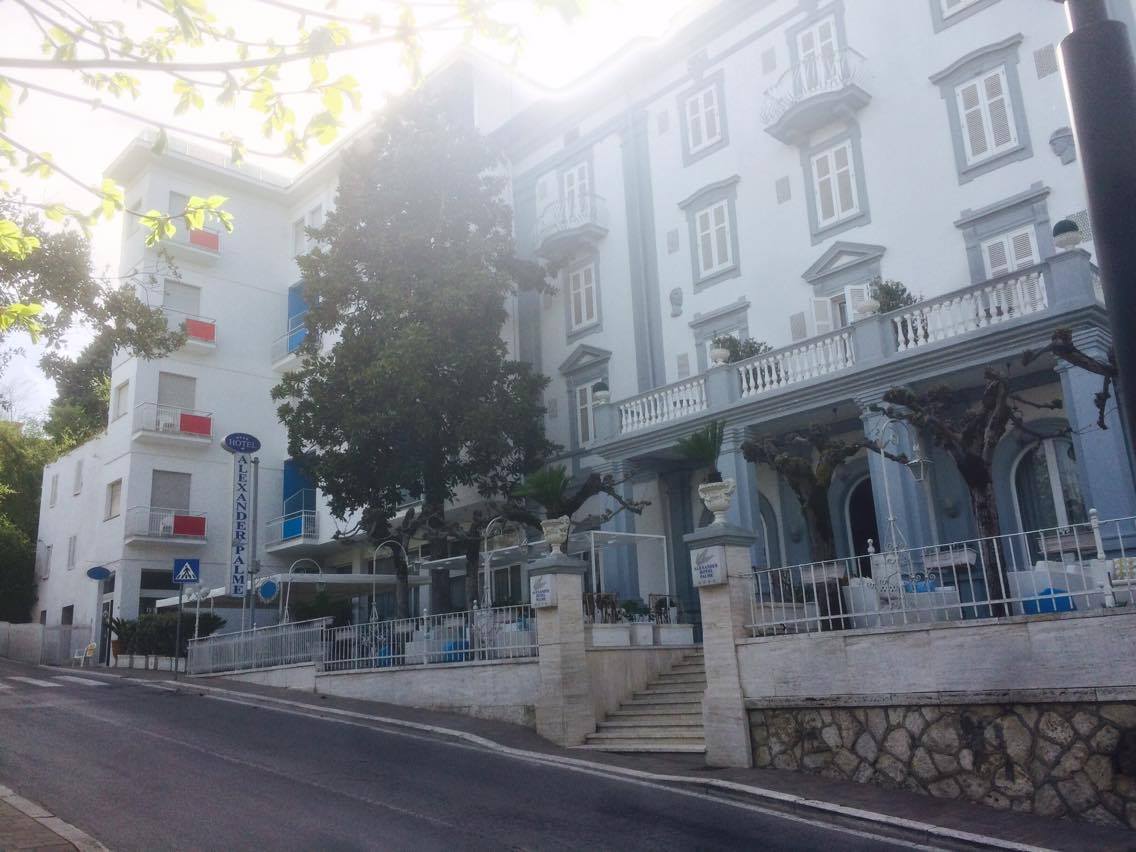 Фото Hotel Alexander Palme