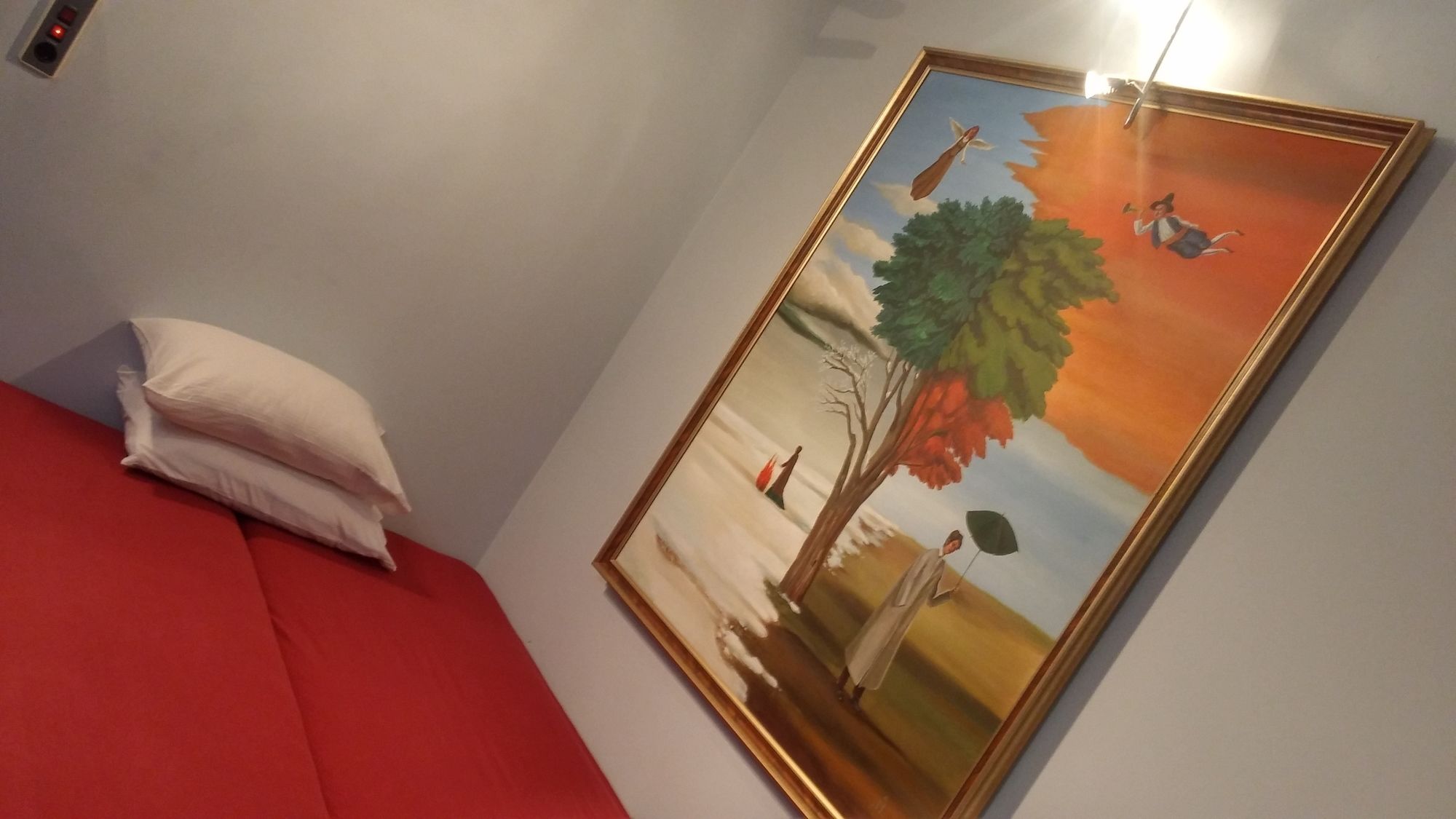 Фото Galeria In The Garden