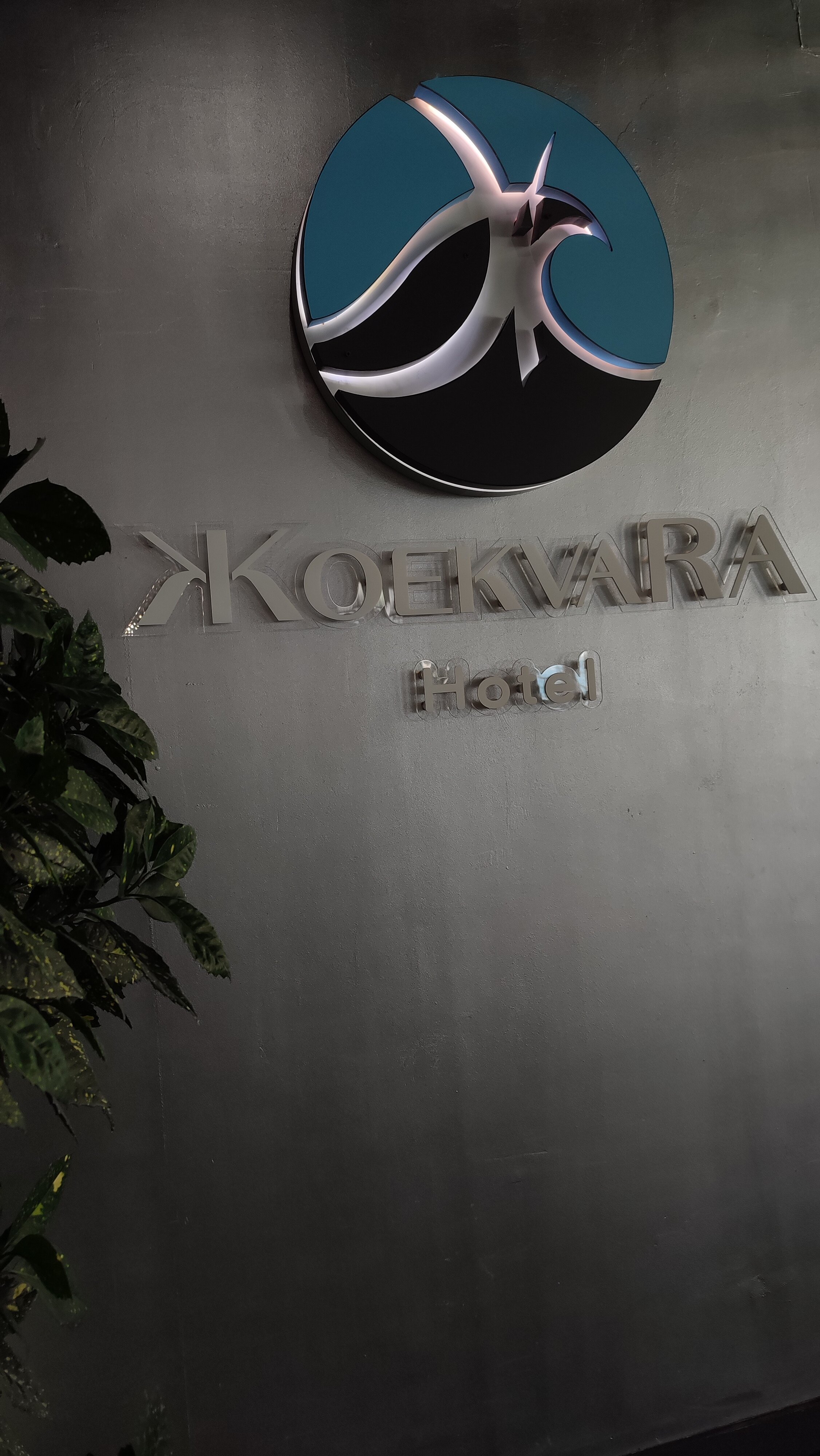 Фото Жоэквара