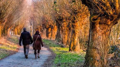 Гостиница Hotel Stay в Эссене