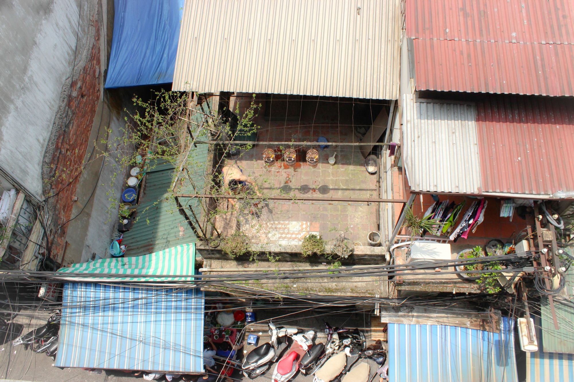 Фото Bc Family Homestay - Hanoi's Heart