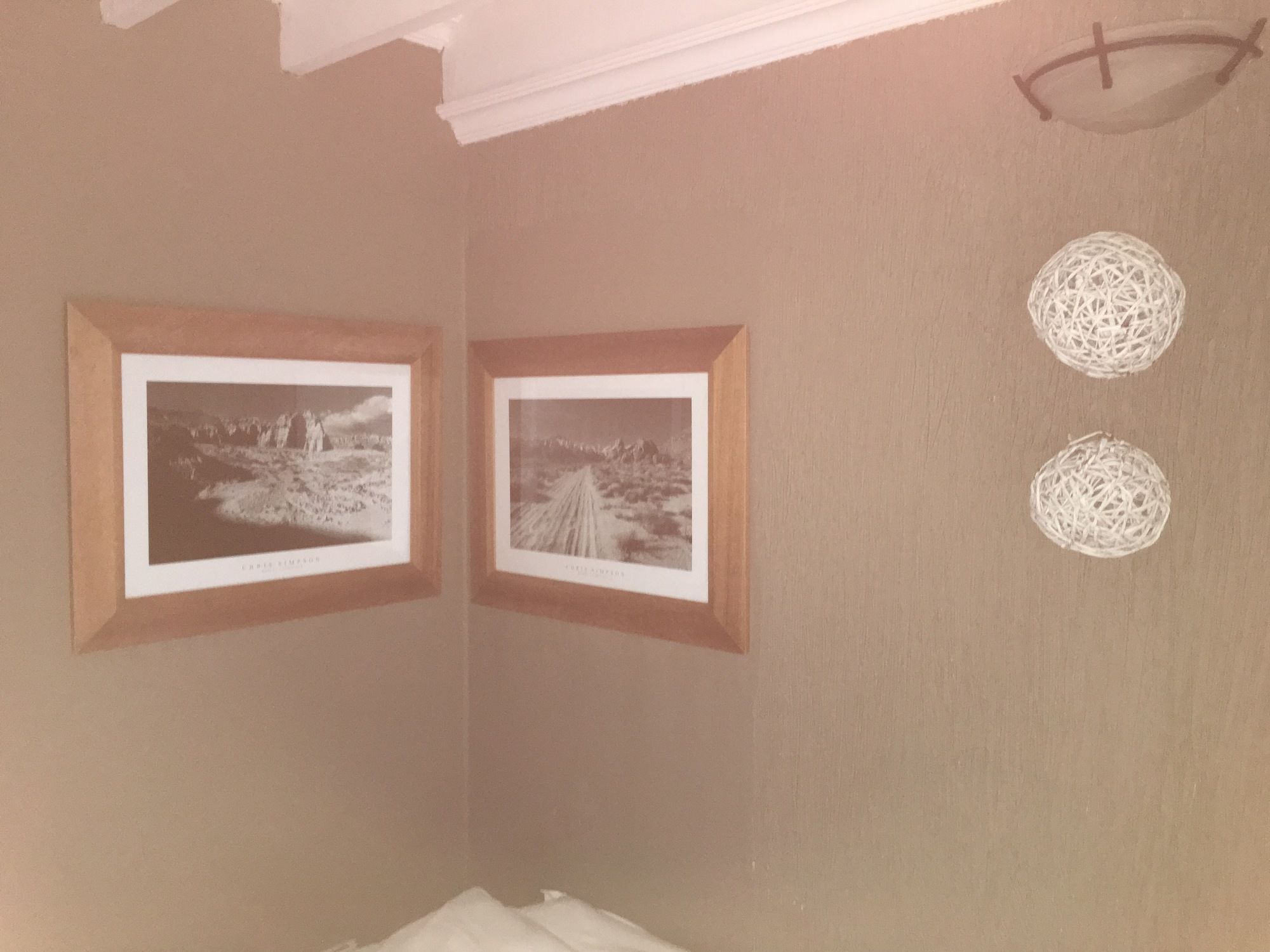 Фото The Birdhouse