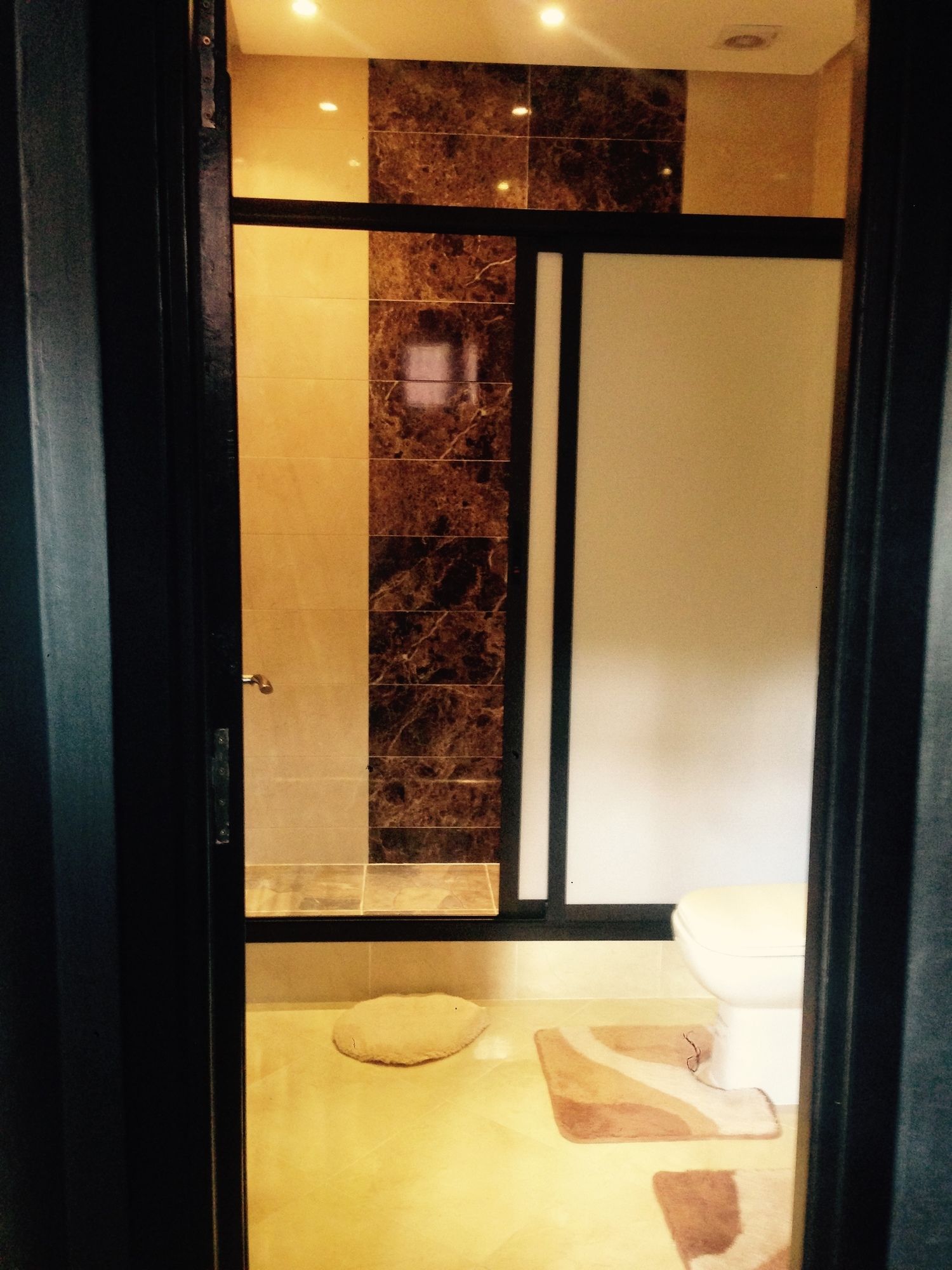 Фото Hotel Toulousain