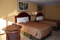 Фото Selma Hotel