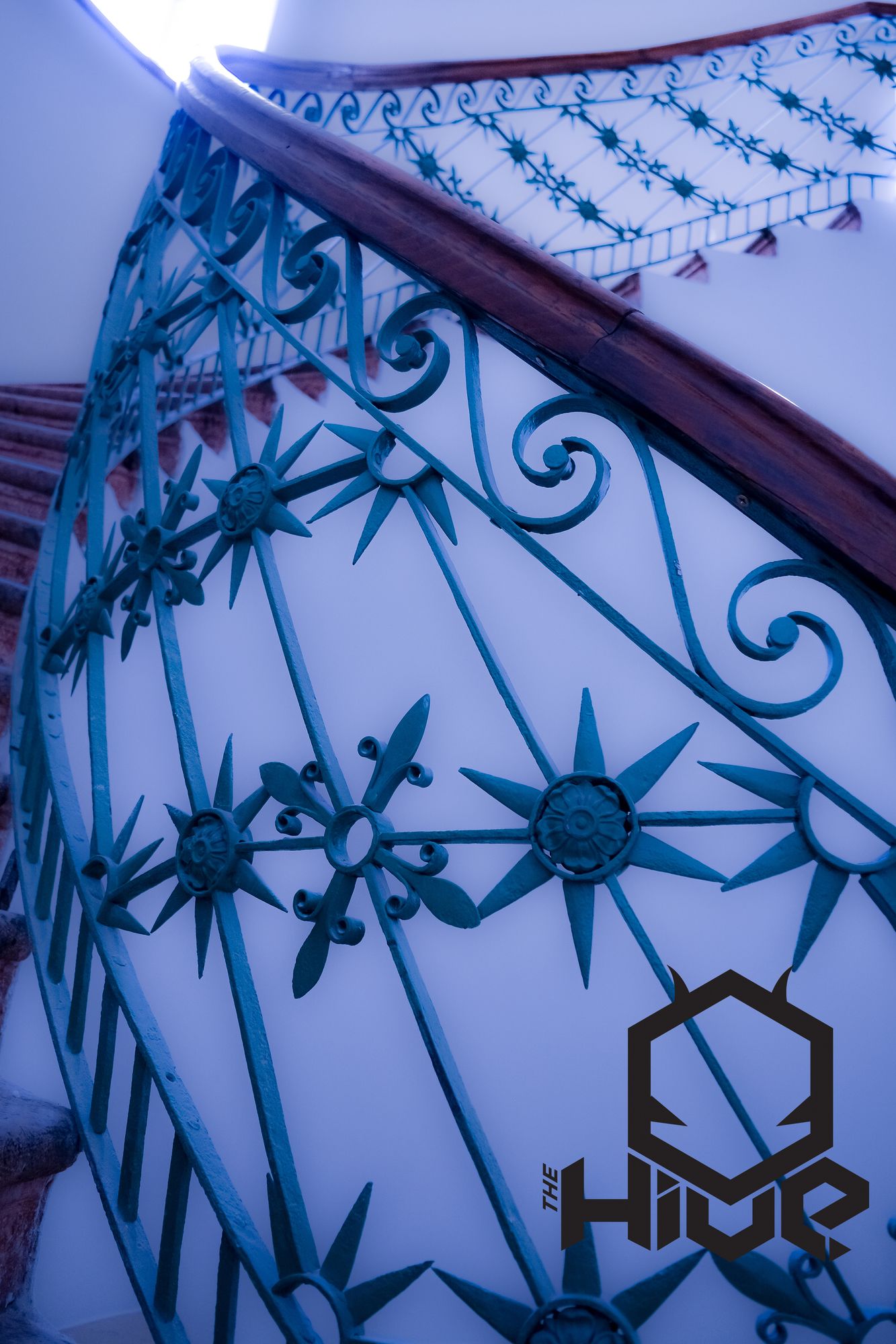 Фото The Hive Party Hostel