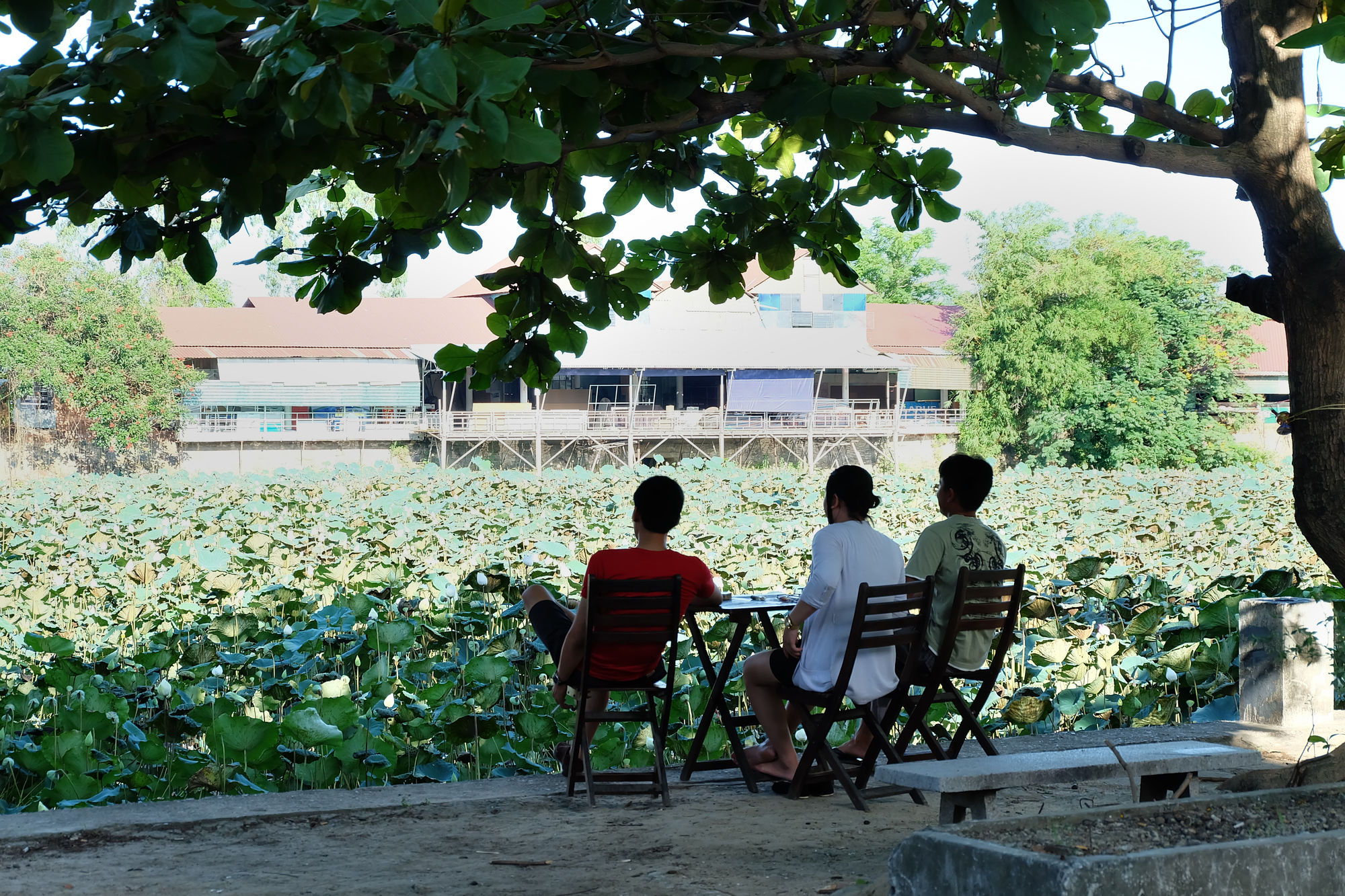 Фото Dai Long Hotel