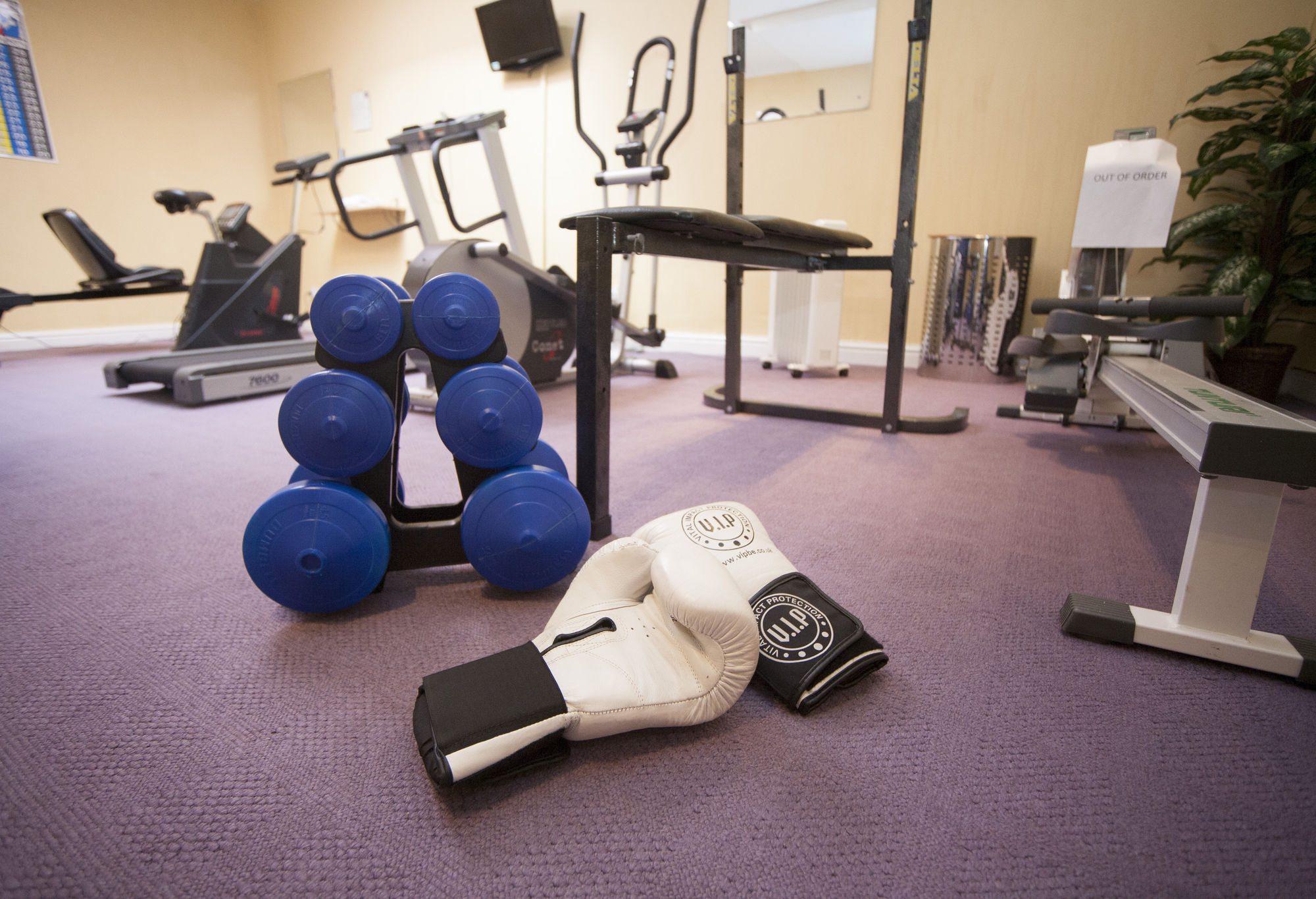 Фото The White Swan, Halifax