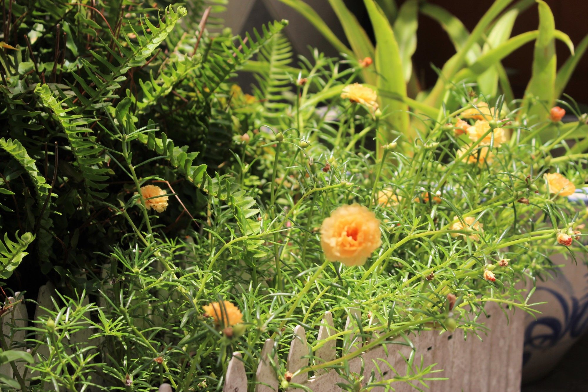 Фото Kim Lan Hotel Can Tho