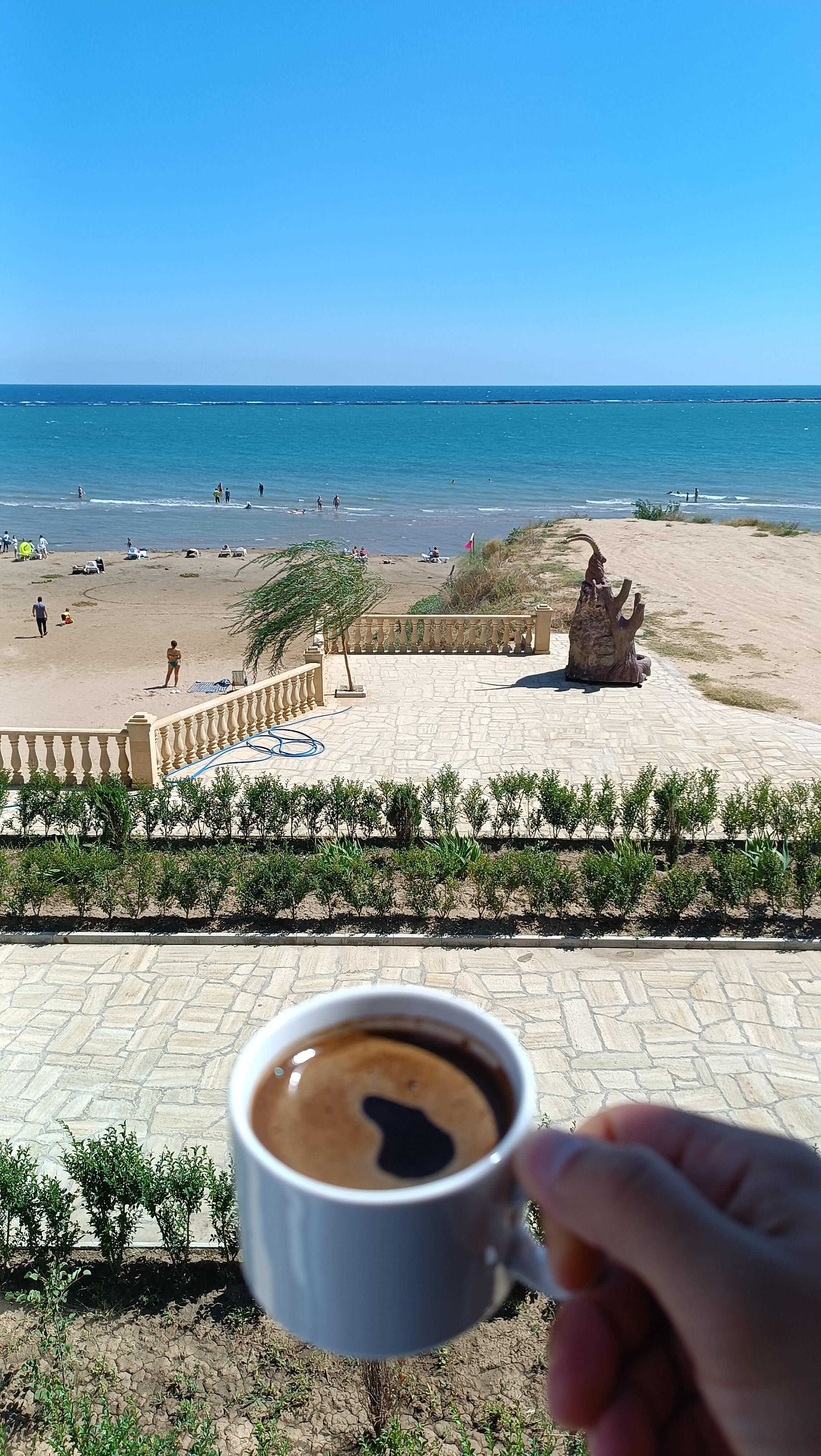 Фото Резидент-Плаза