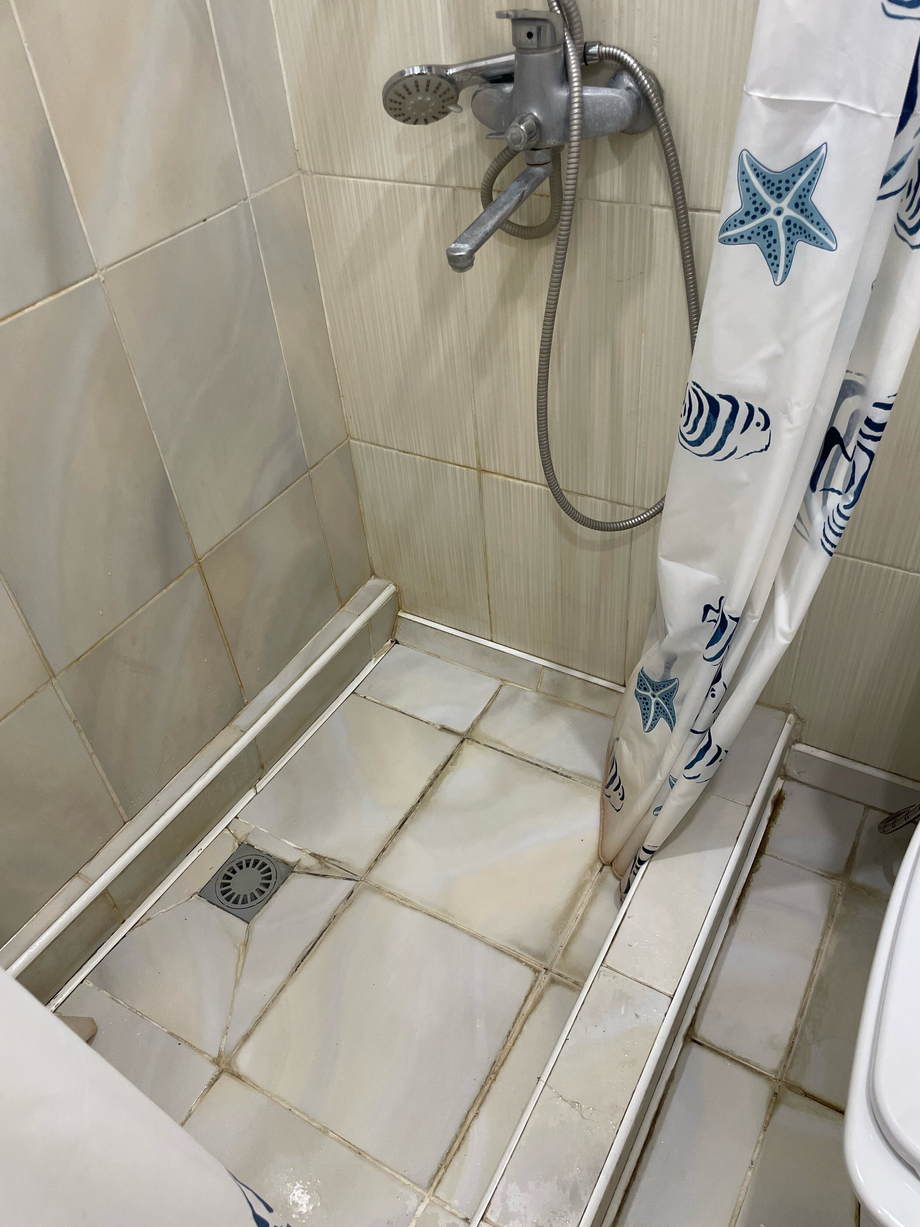 Фото Золотая рыбка