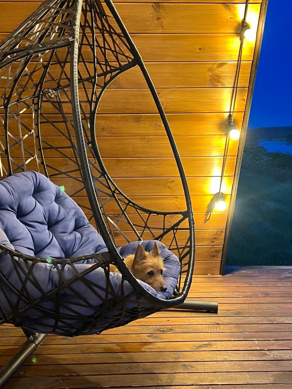 Фото Глэмпинг Тверской-Ямской