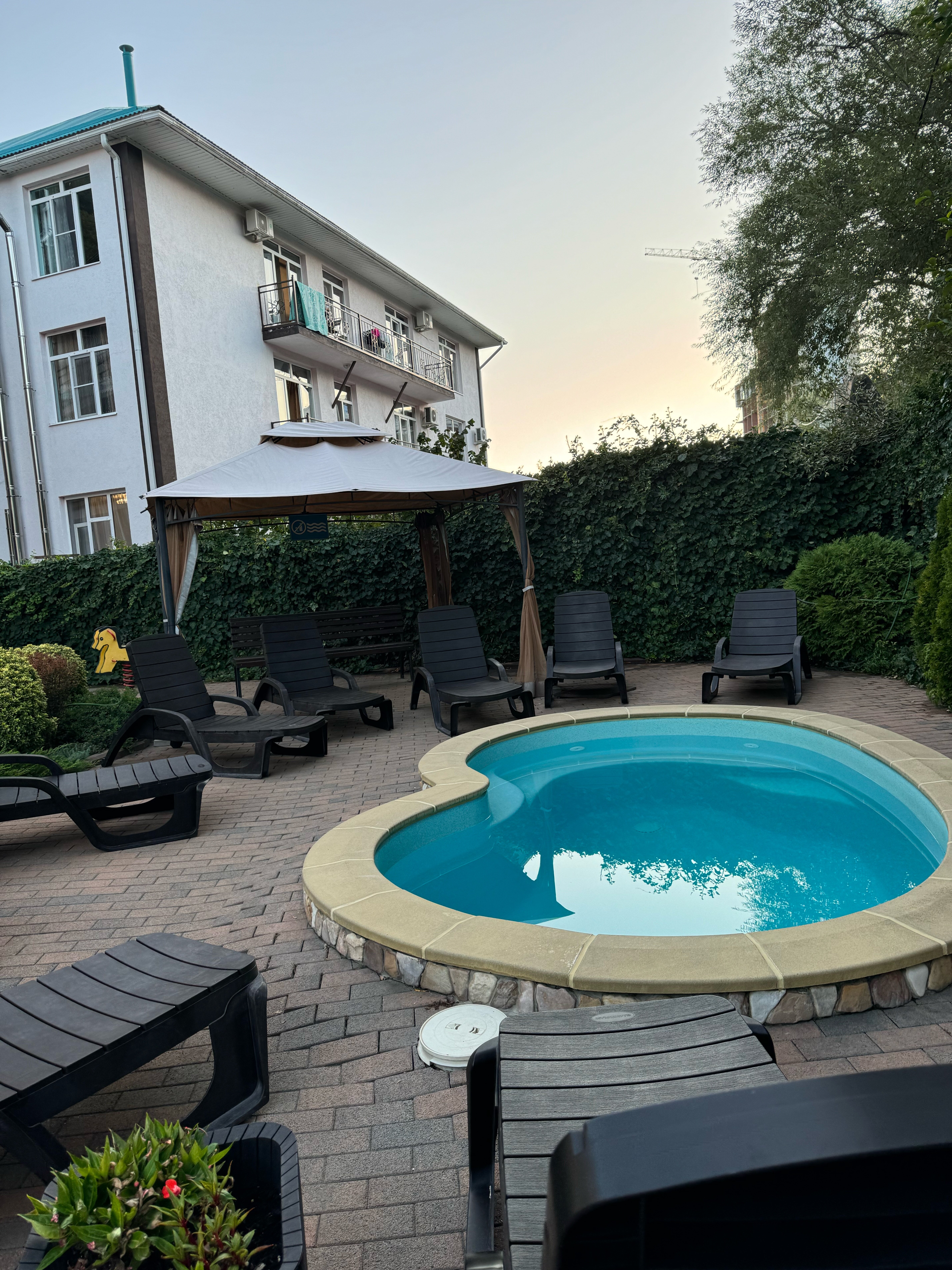 Фото Вероника