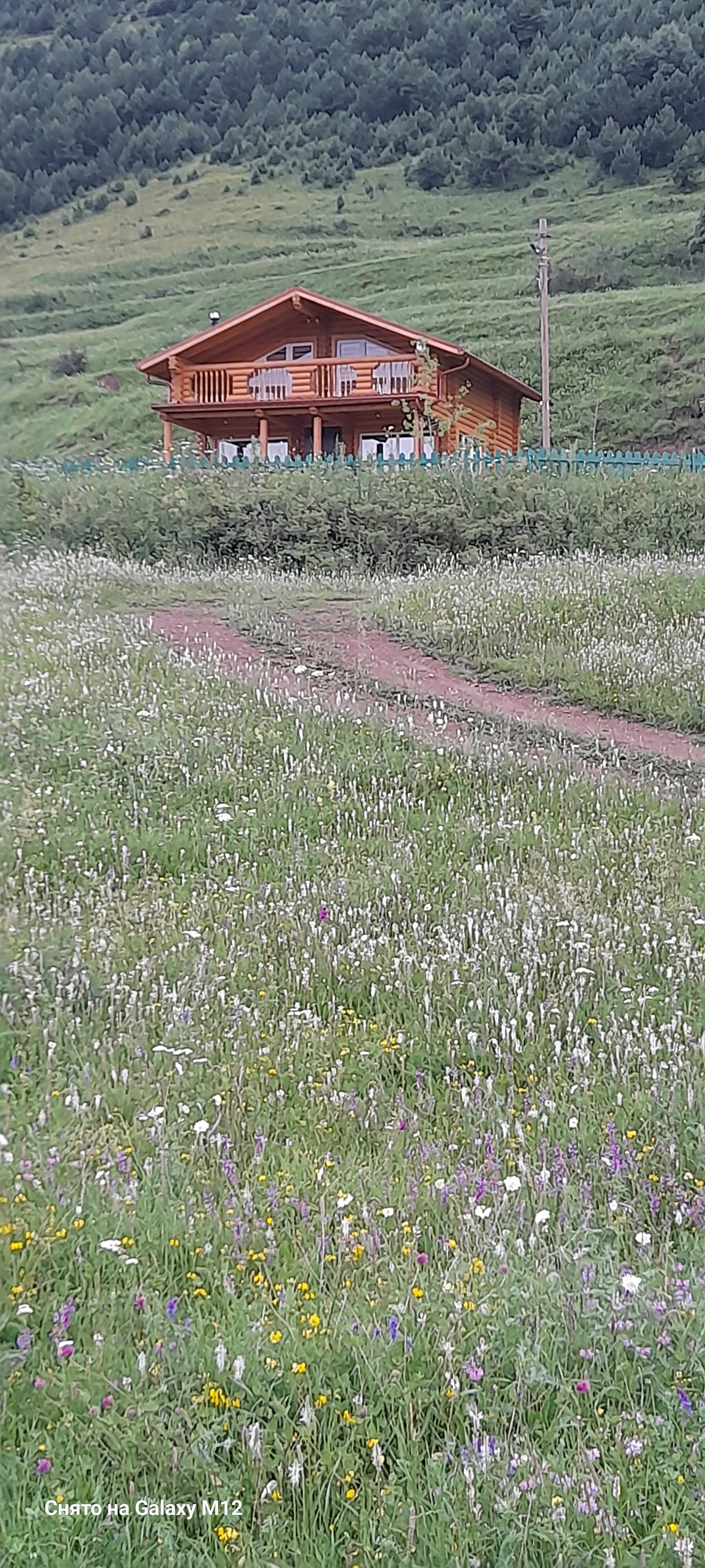 Фото Орлиное гнездо