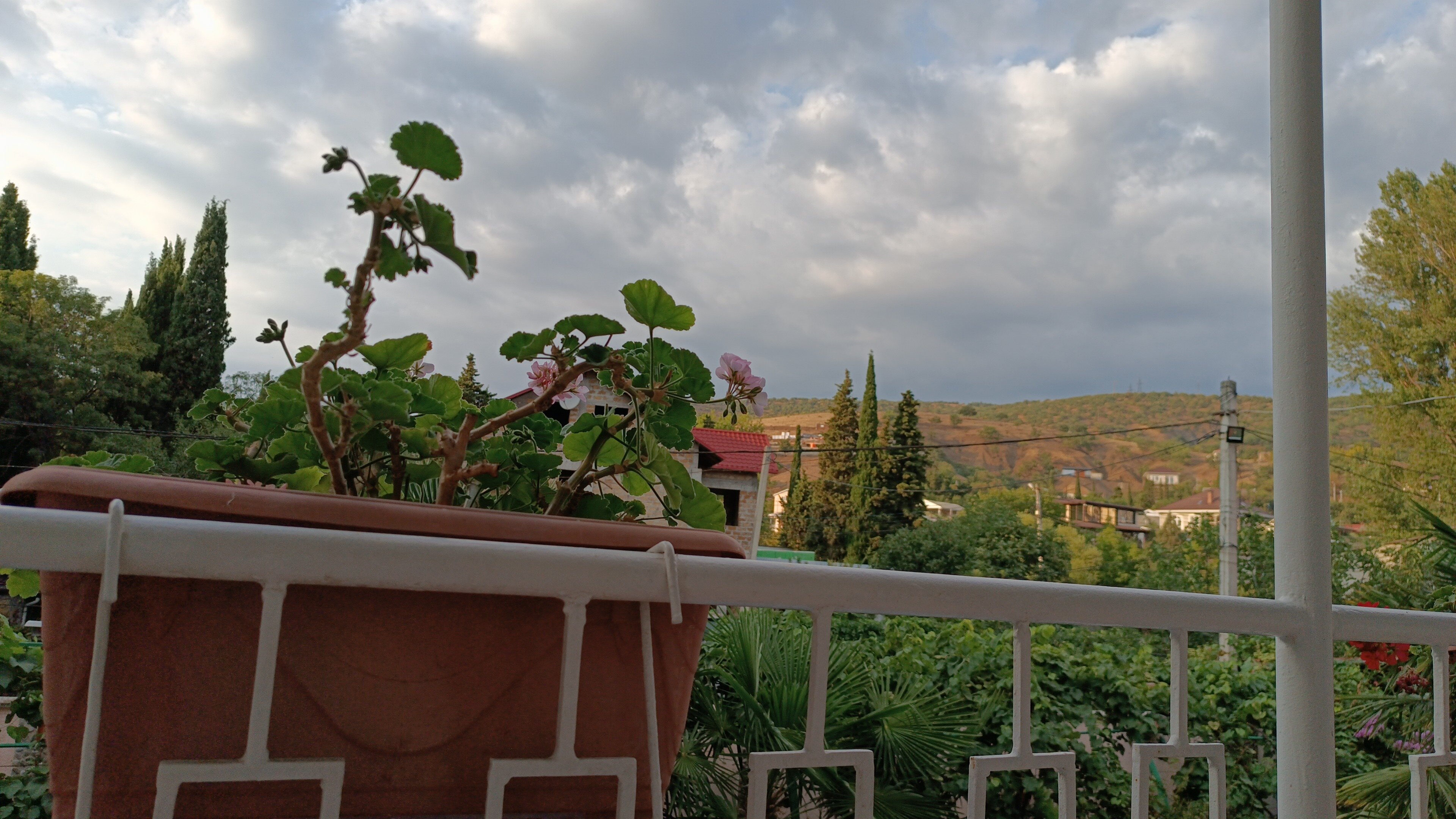 Фото Надежда