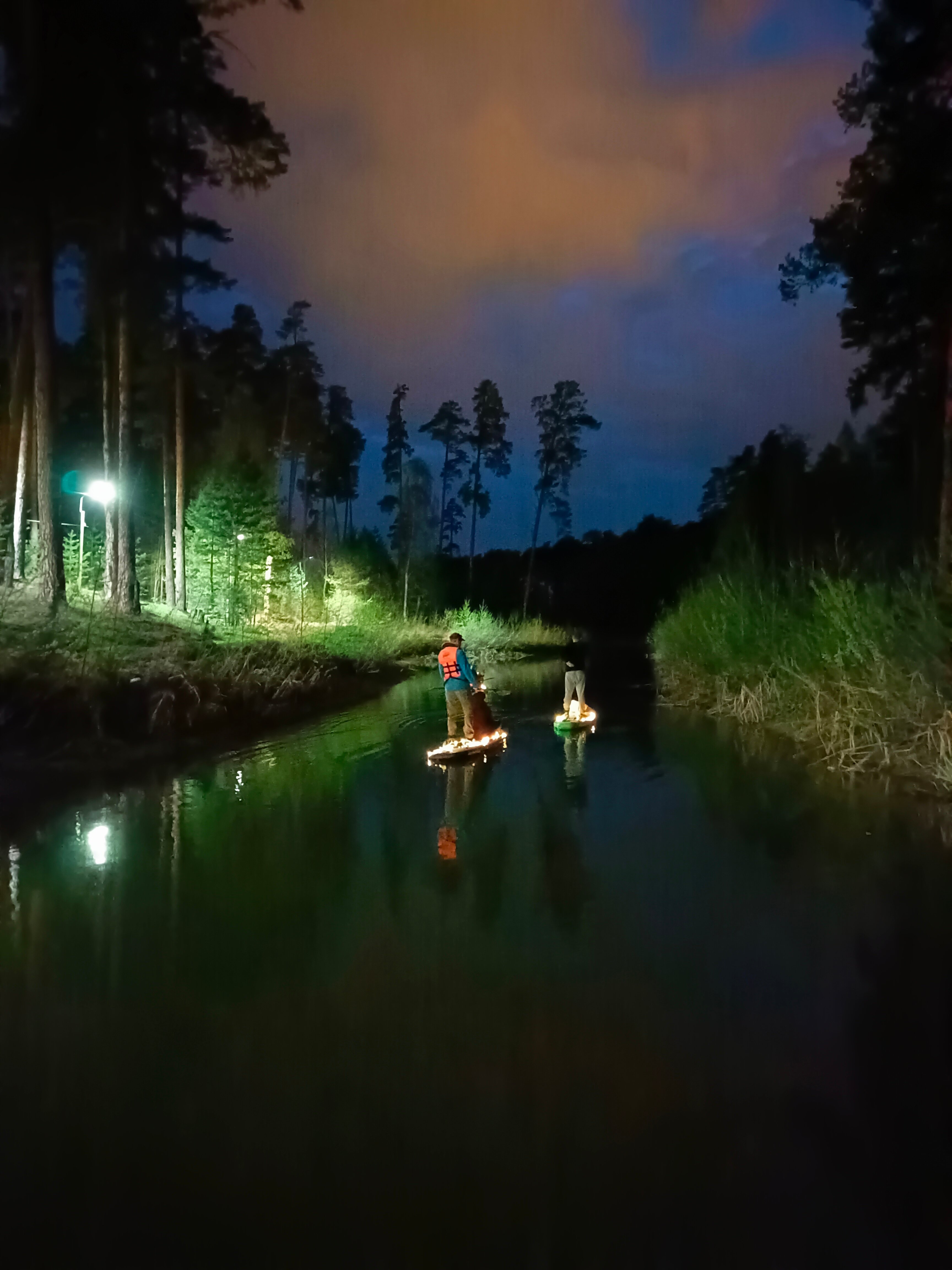 Фото Лебяжье