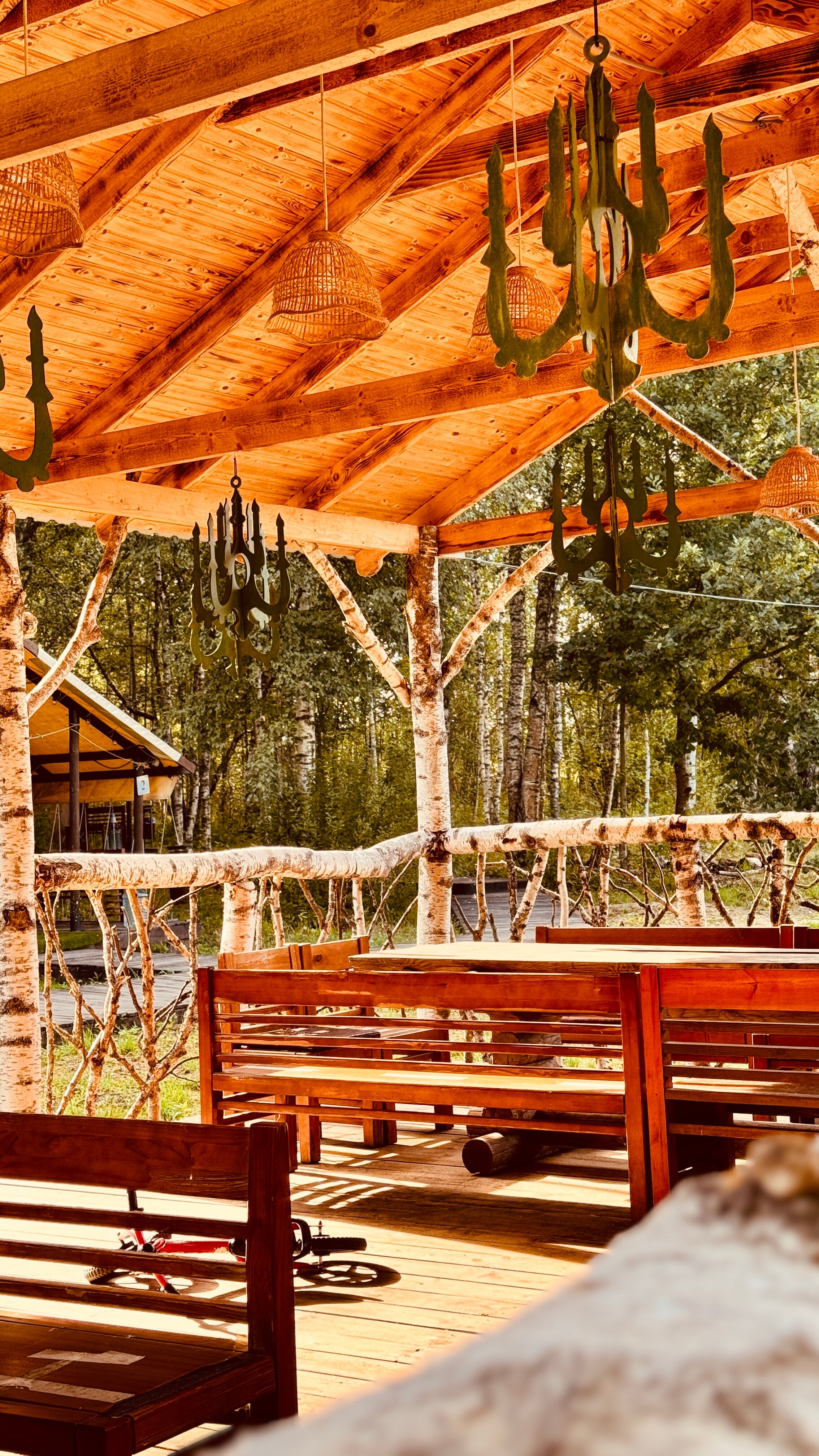 Фото Свобода