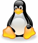 Ankara Web Hosting (Ankara Province, Cankaya District, Ali Dede Sok., 21), alojamiento