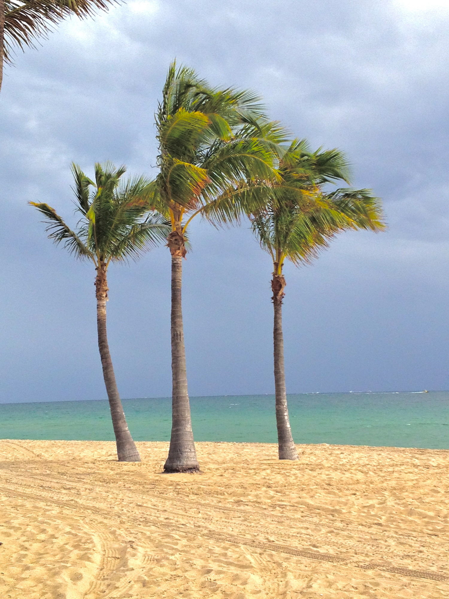 Фото Fortuna Hotel