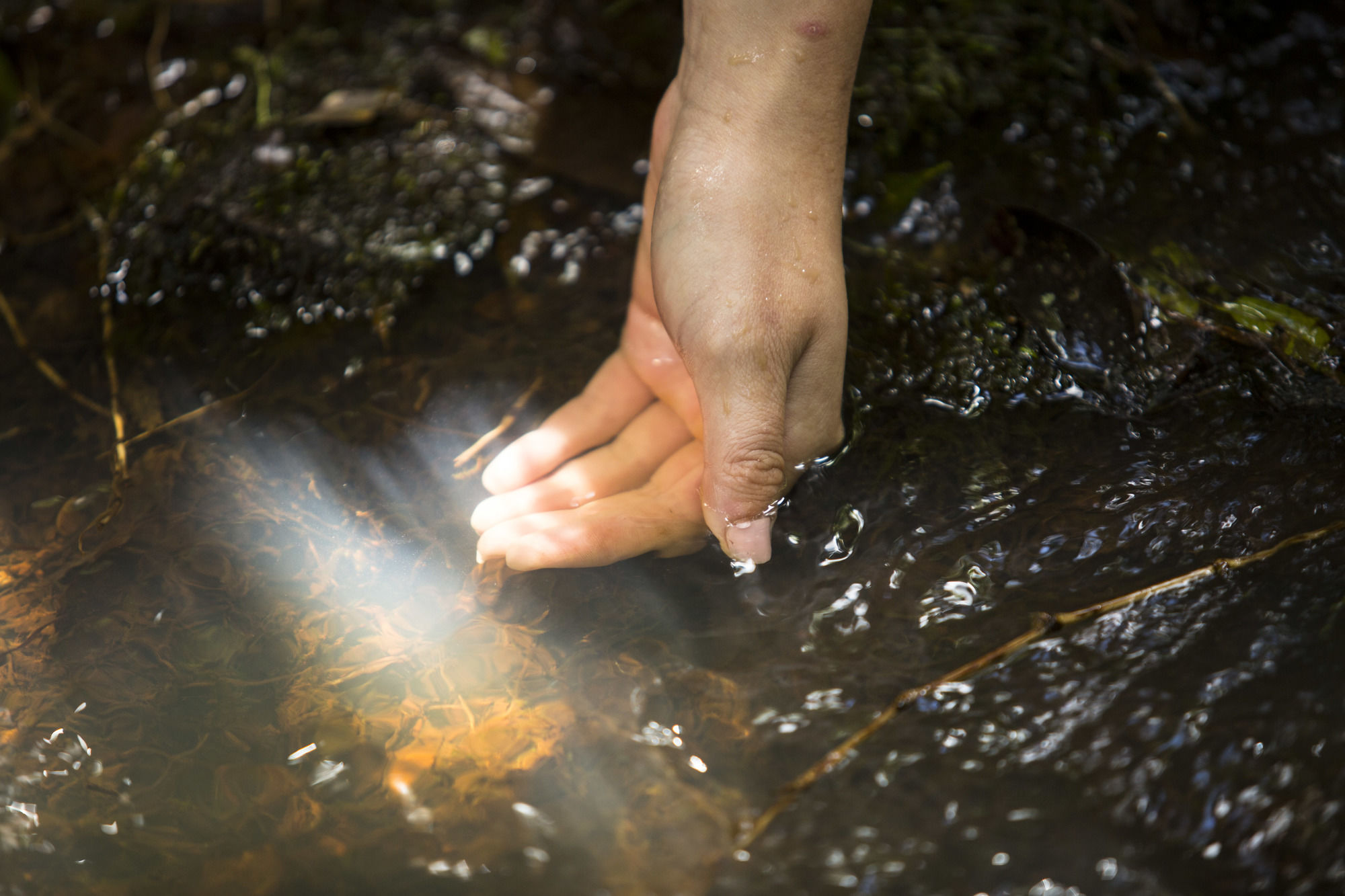 Фото Mocona Virgin Lodge