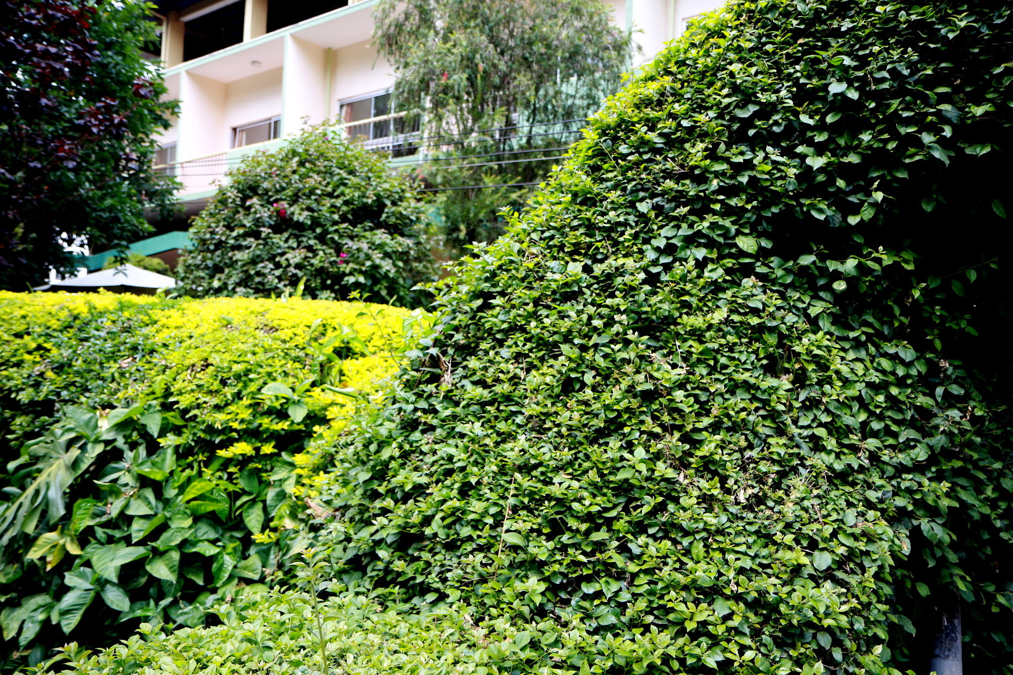 Фото The Equator Hotel