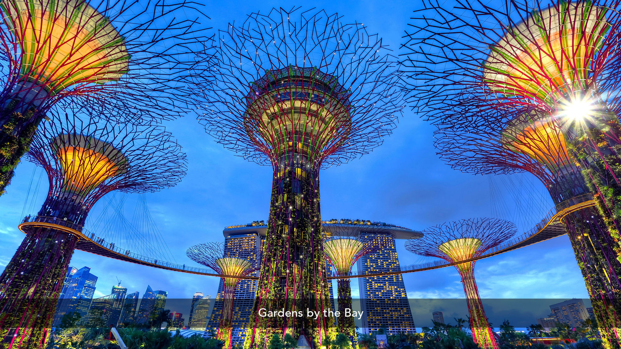 Фото Zen Rooms Geylang