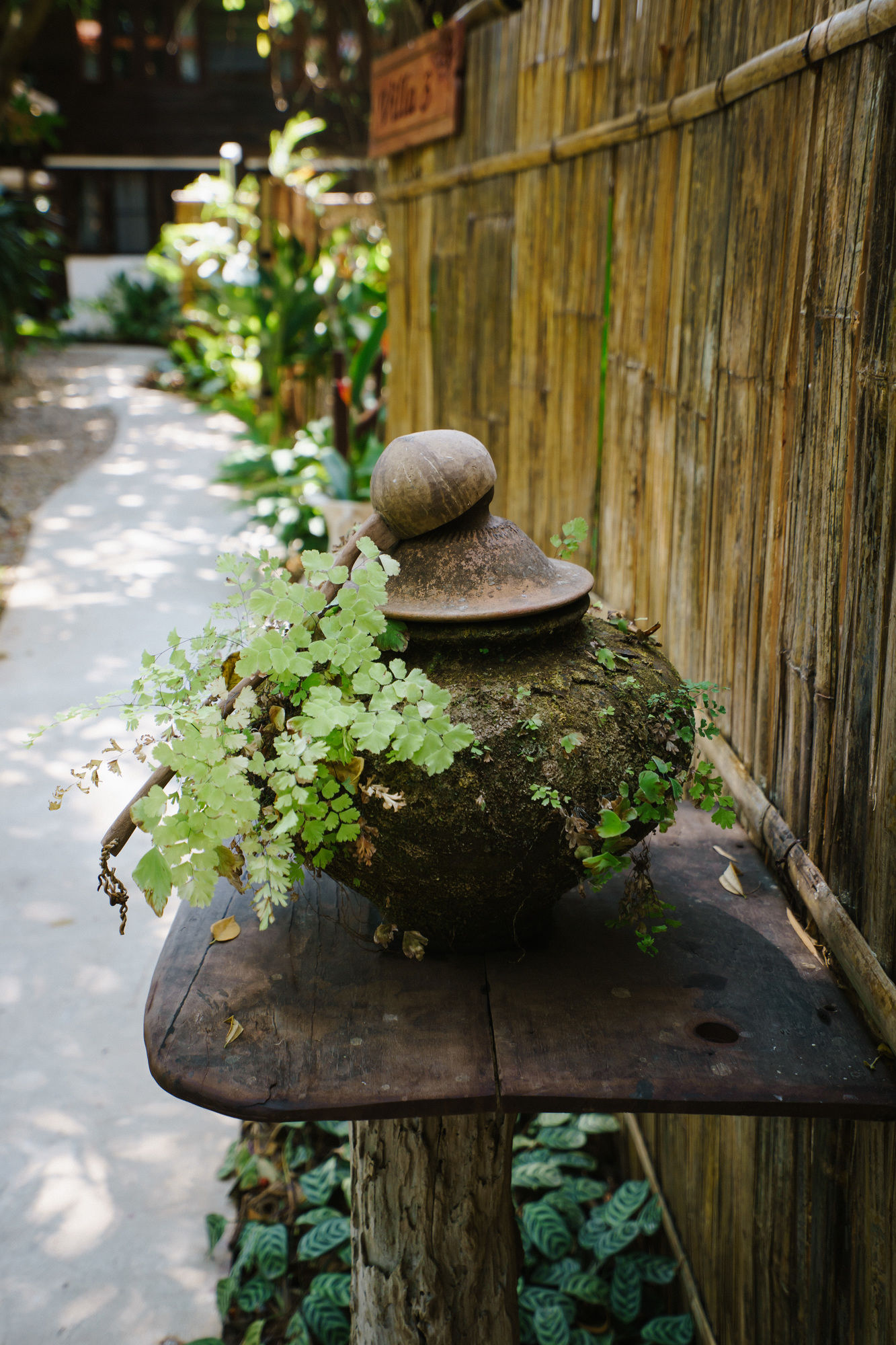 Фото Mango T. Villa Chiang Mai Resort