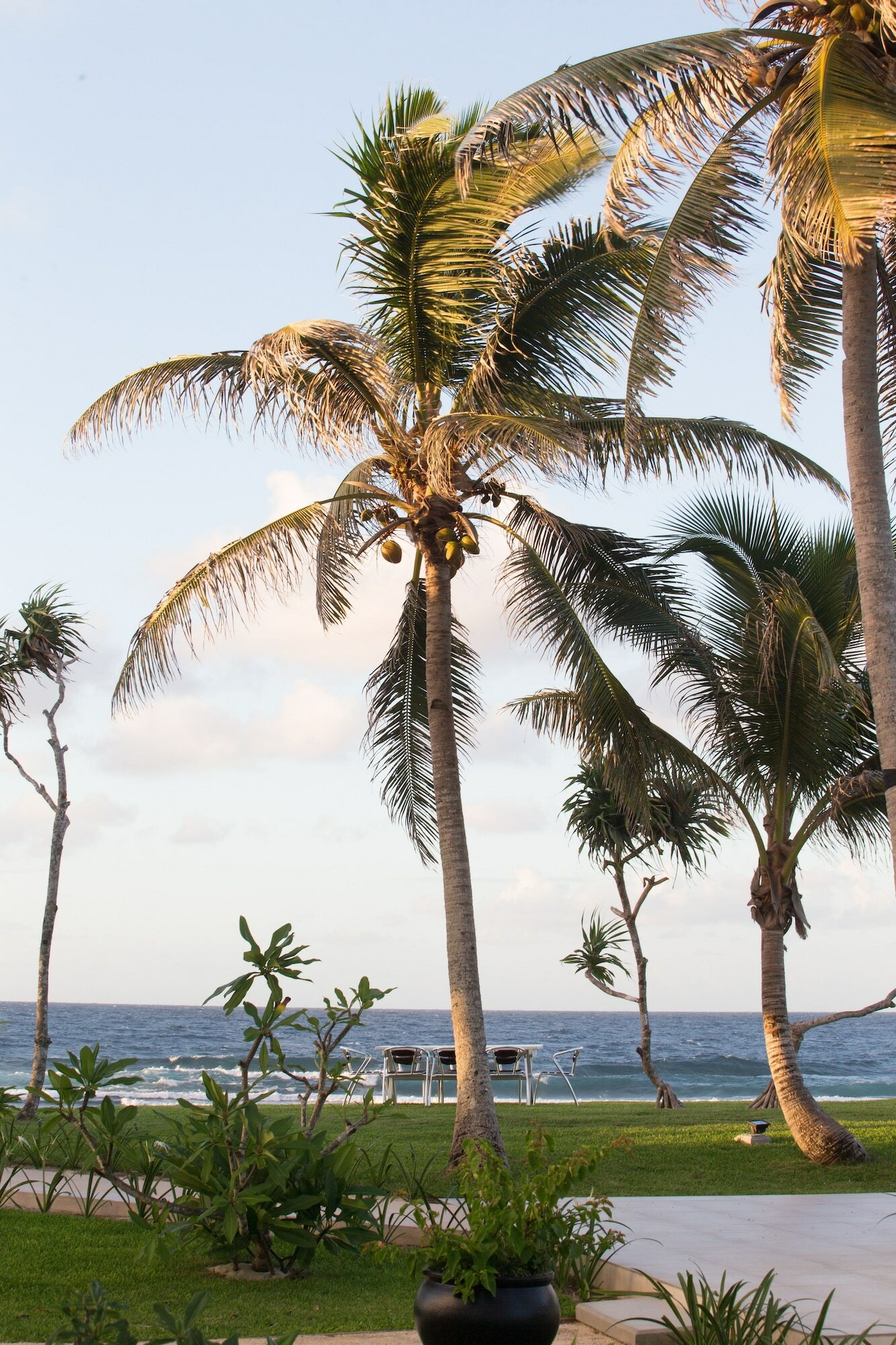 Фото Tamanu on the Beach