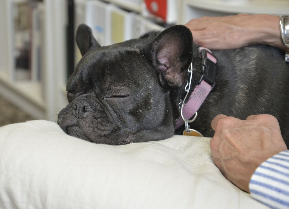 Фото The Madison Inn by Riversage