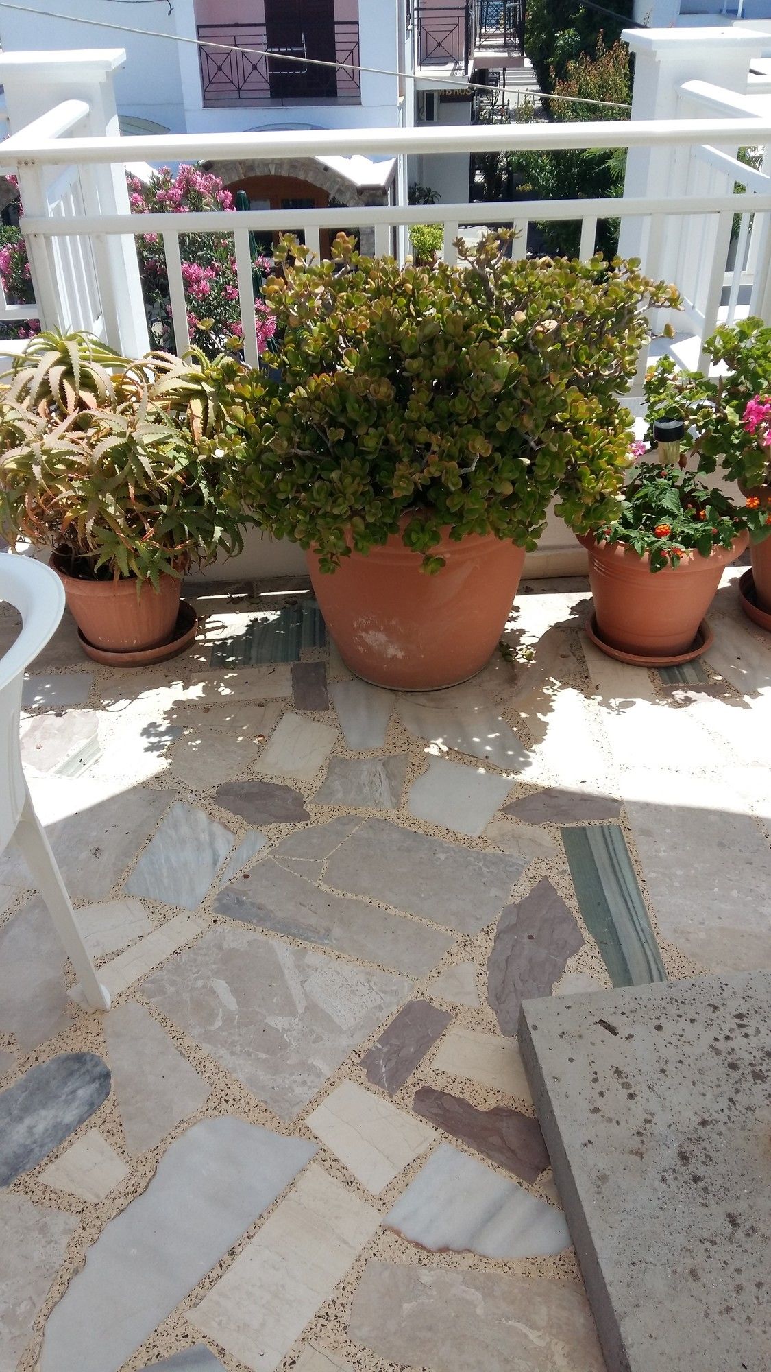 Фото Christina Pansion- Adults Only