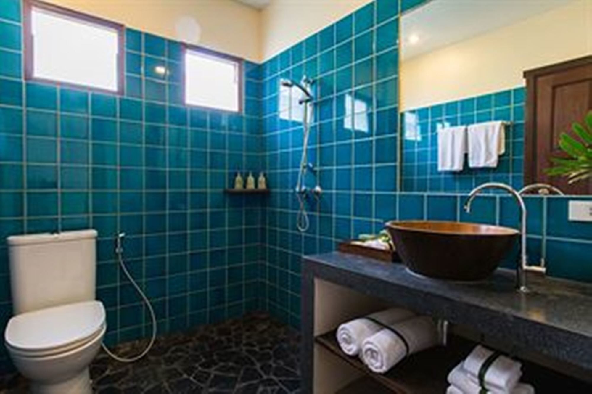 Фото Villa Tanamera