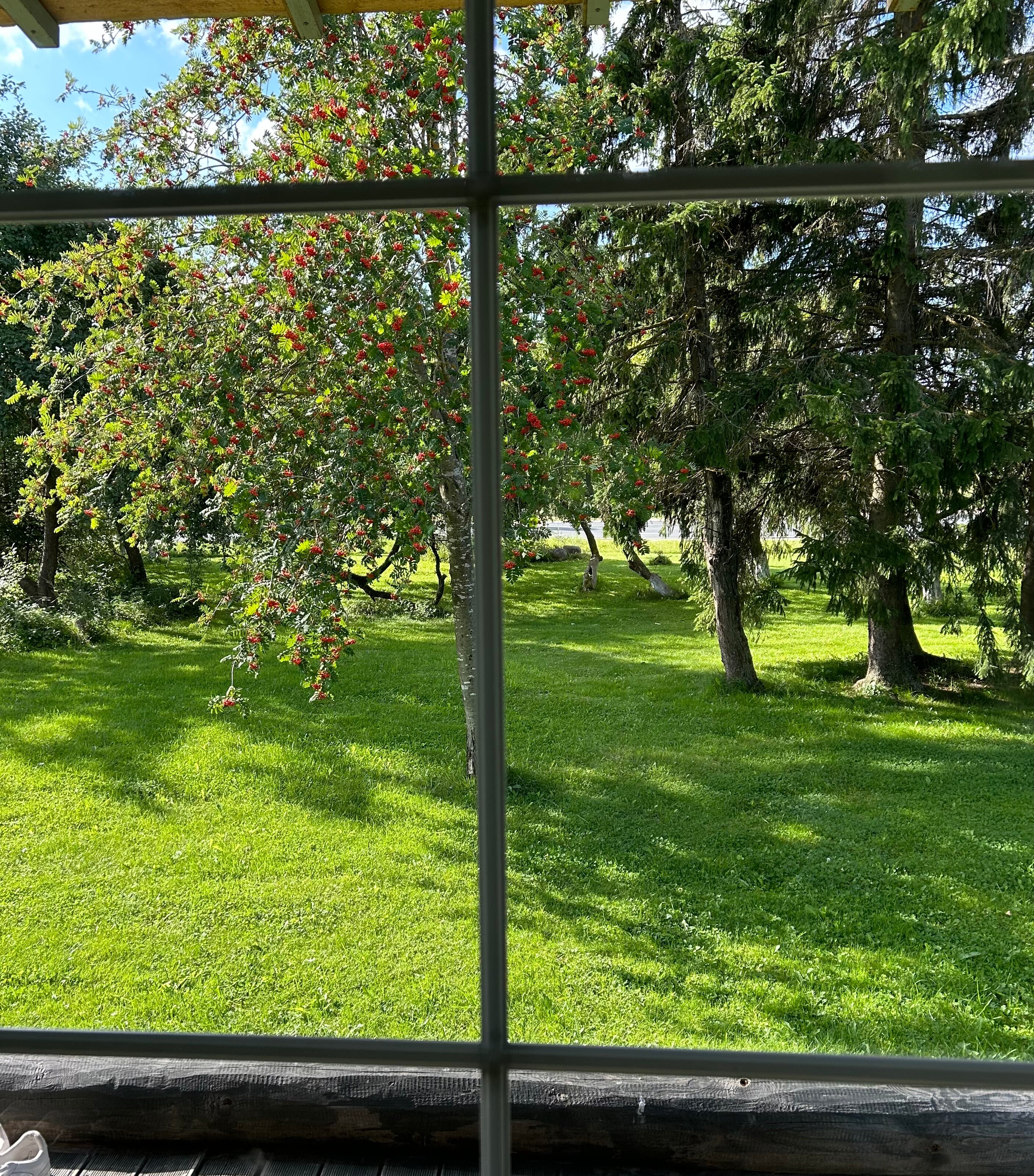 Фото Изборская слобода