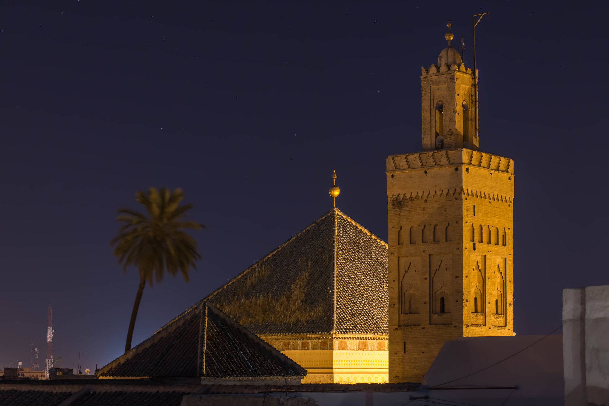 Фото Riad Emberiza Sahari