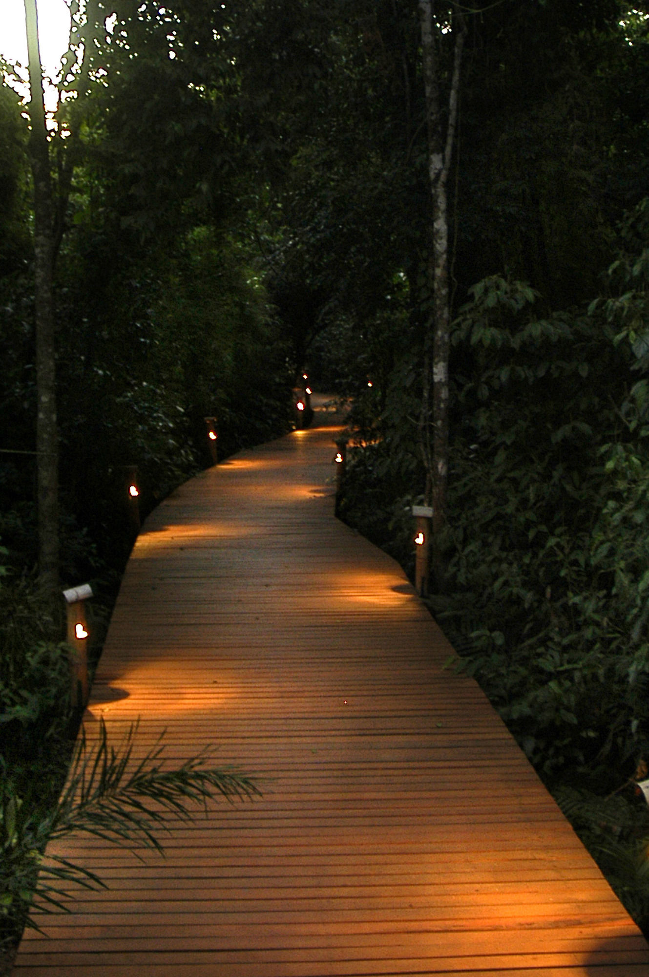 Фото La Aldea de la Selva Lodge