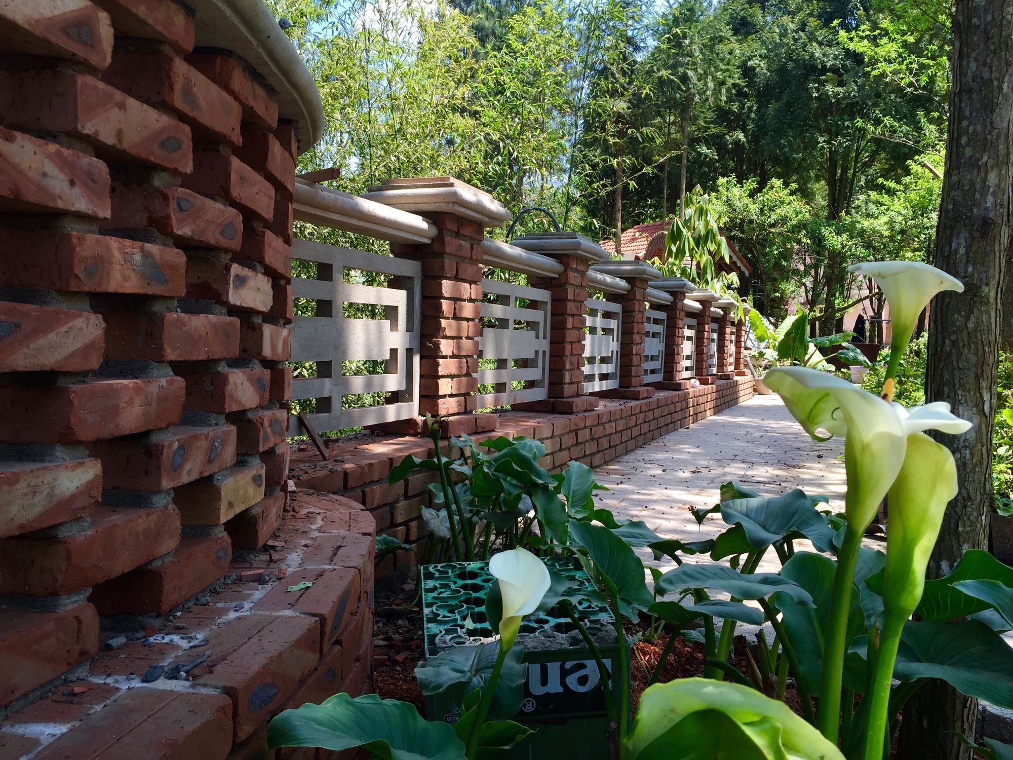 Фото Гостевой Дом Sapa Garden