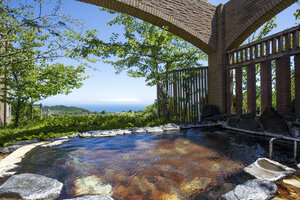 Гостиница Hotel Villa Fontaine Village Izukogen