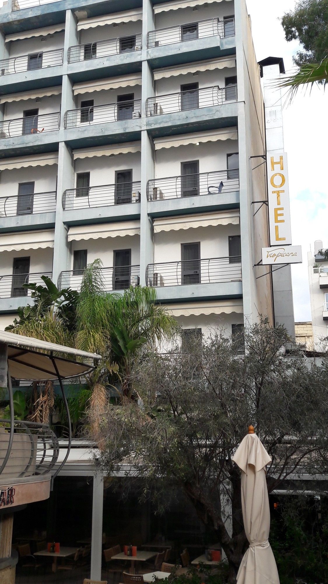 Фото Tropicana Hotel