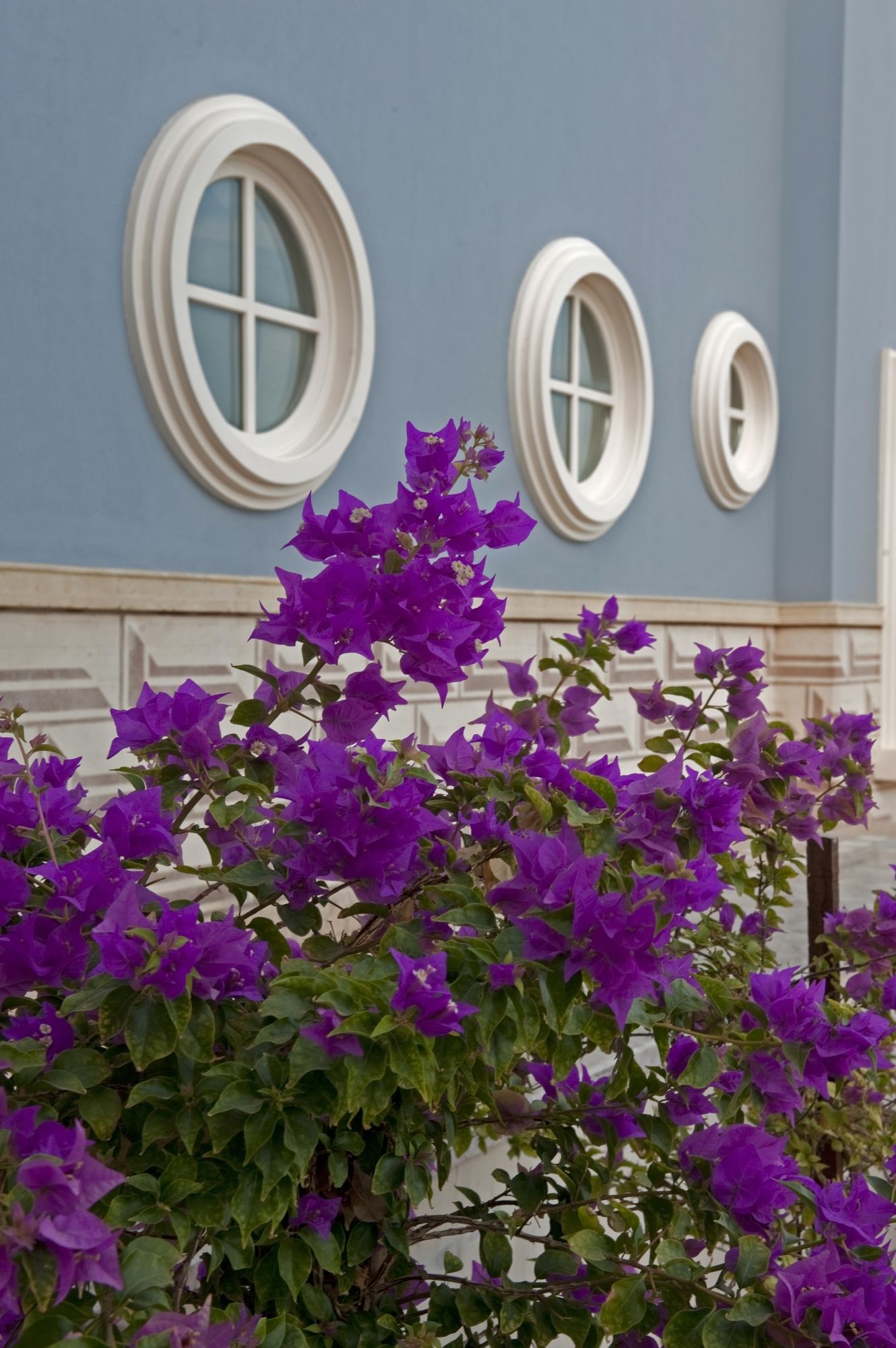 Фото La Maison Bleue