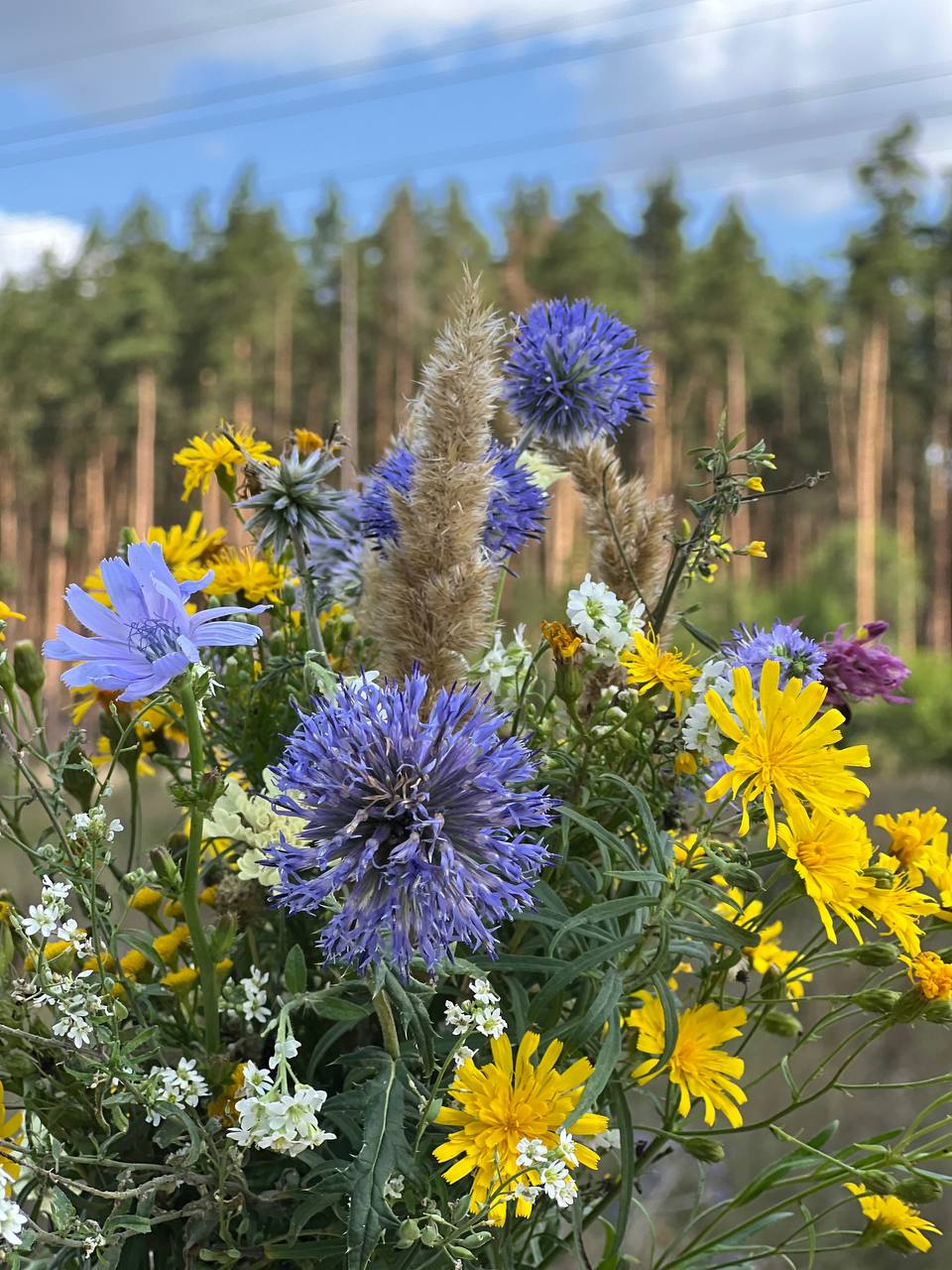 Фото Сосенки Lounge