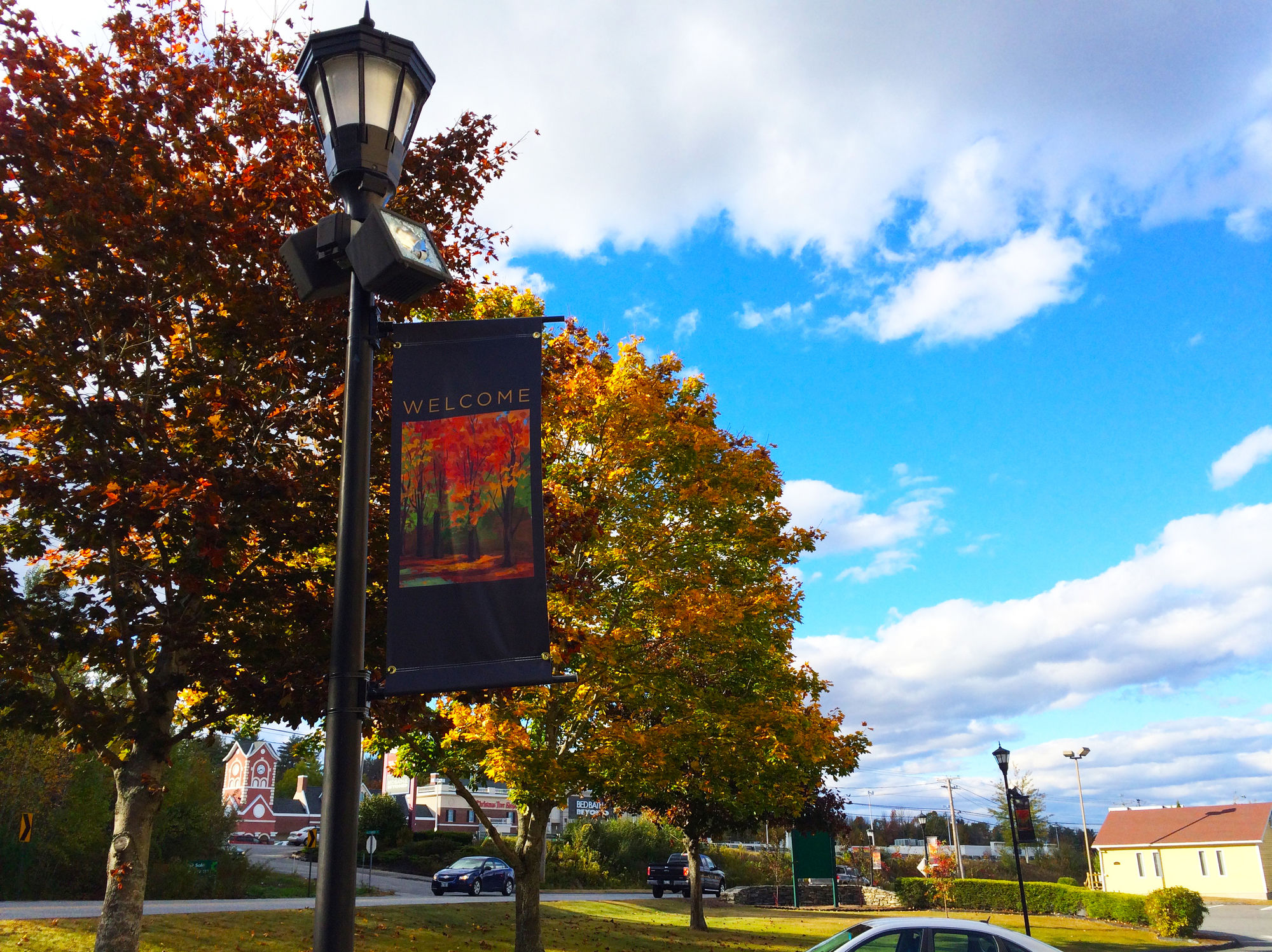 Фото Quality Inn & Suites Evergreen Hotel