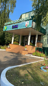 Онлайн салбырап жатқан кеуделер