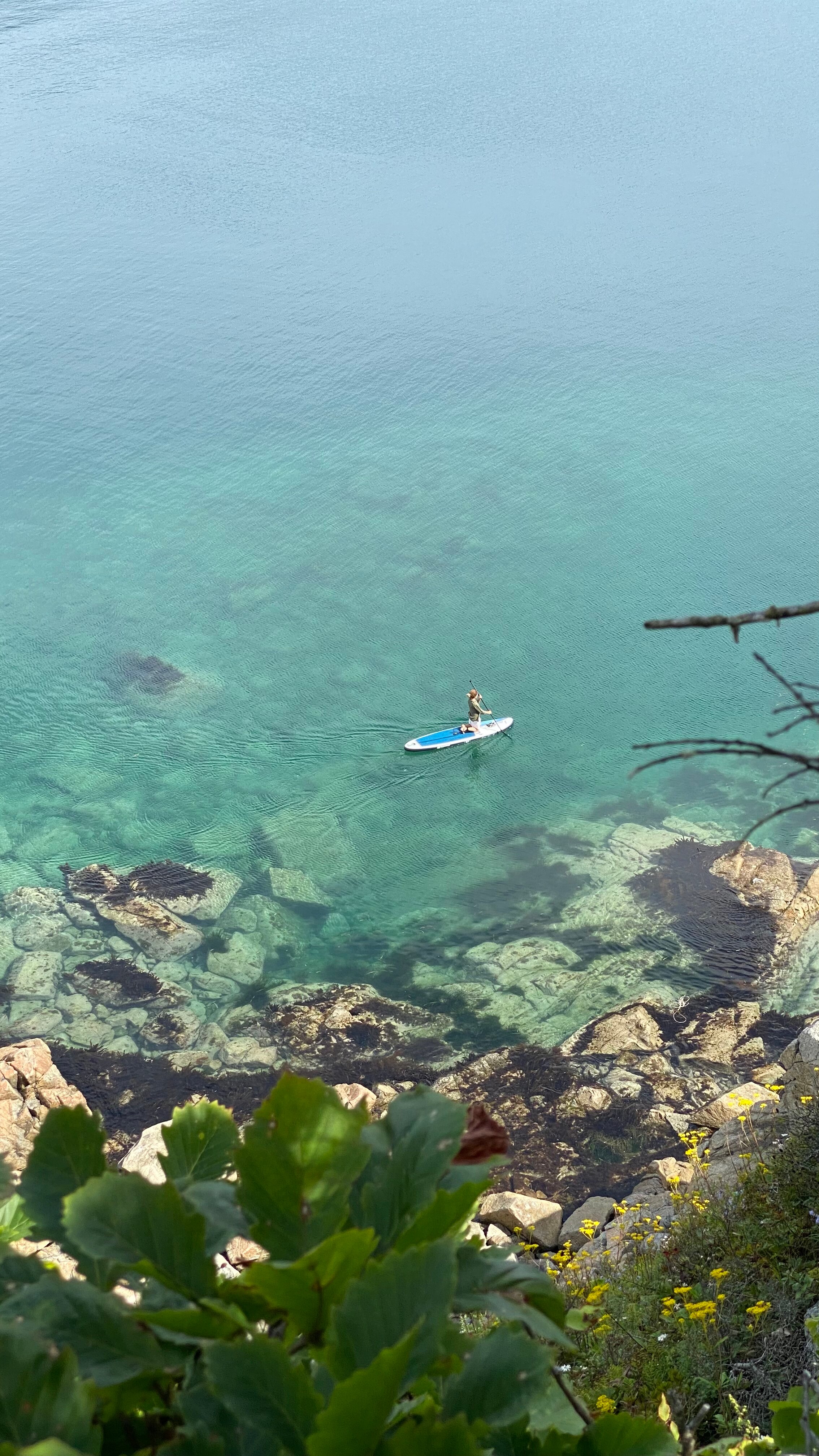 Фото Чинтамани