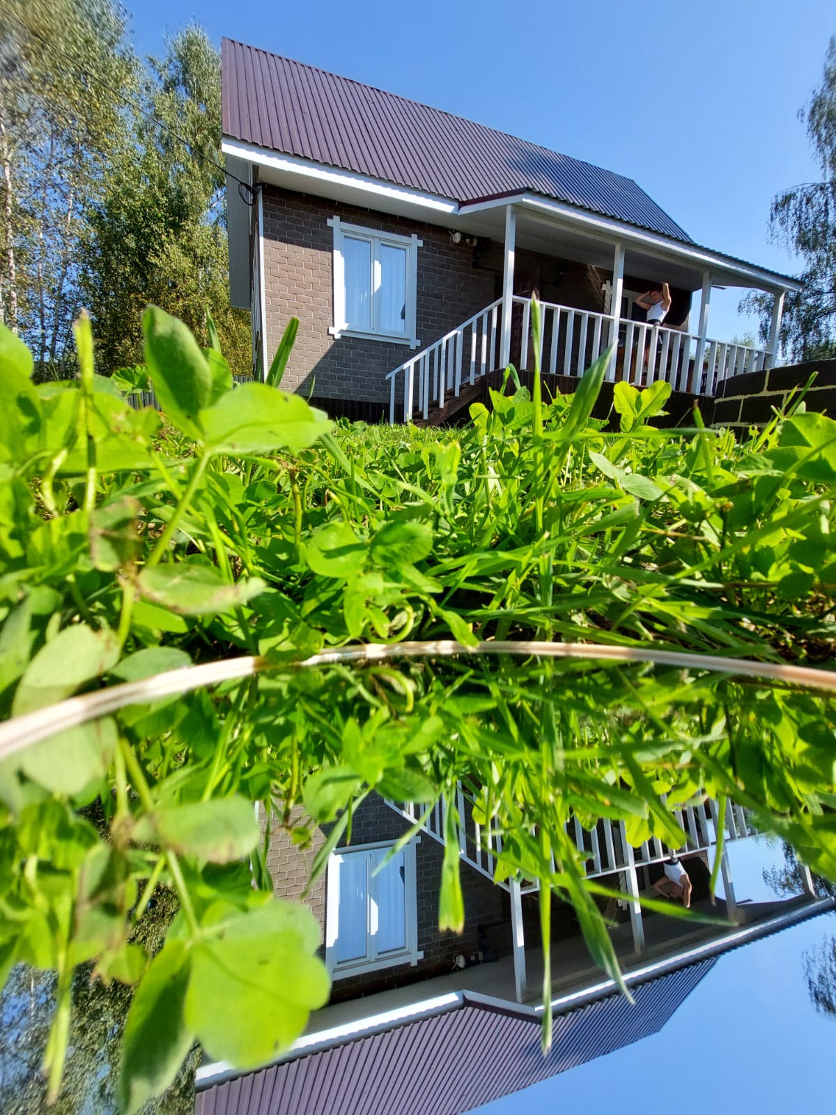 Фото Лесная Сказка