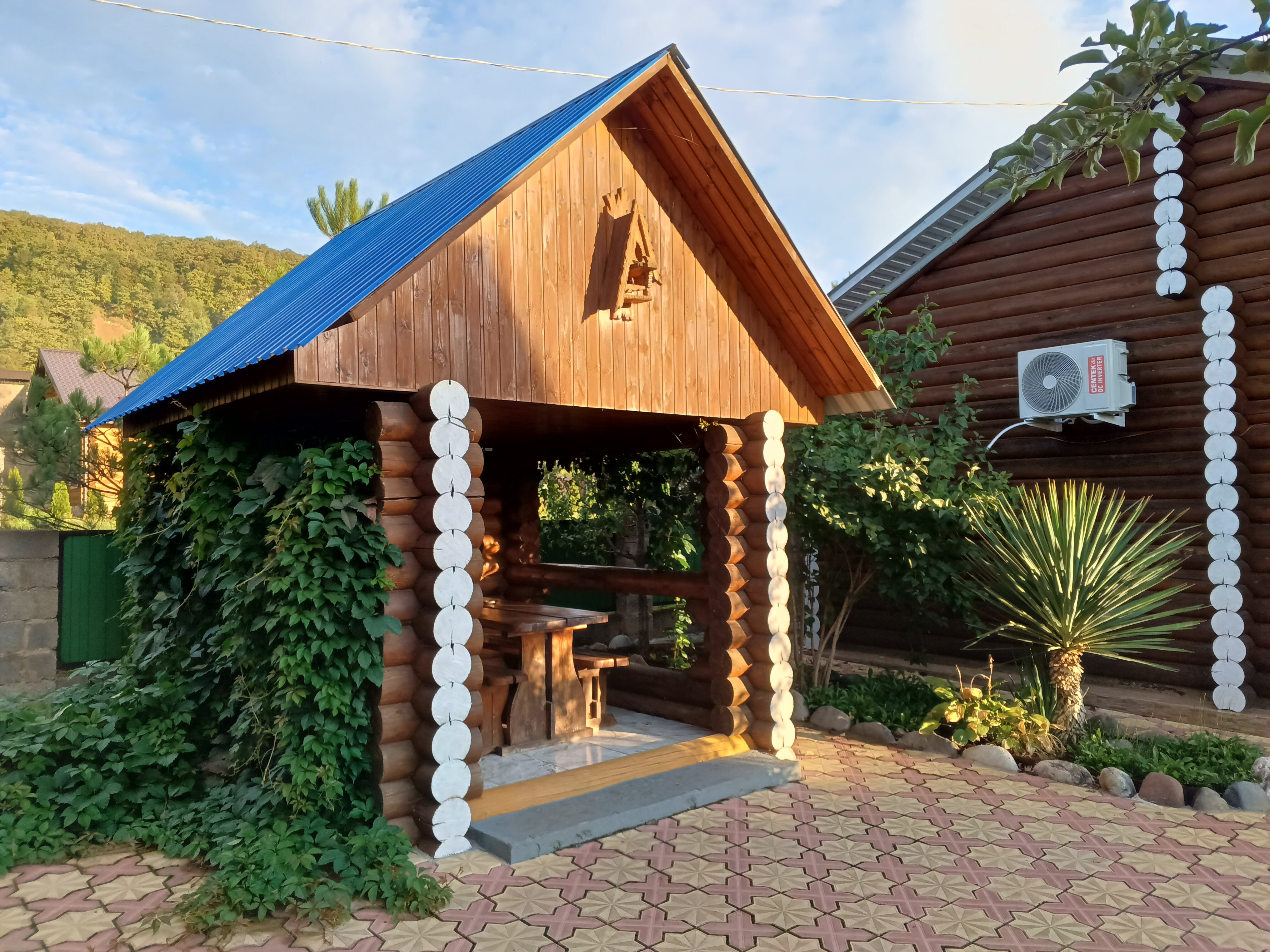 Фото Солнечная