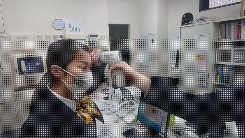 Фото Smile Hotel Kawaguchi