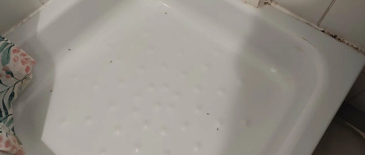 Фото Морская лагуна